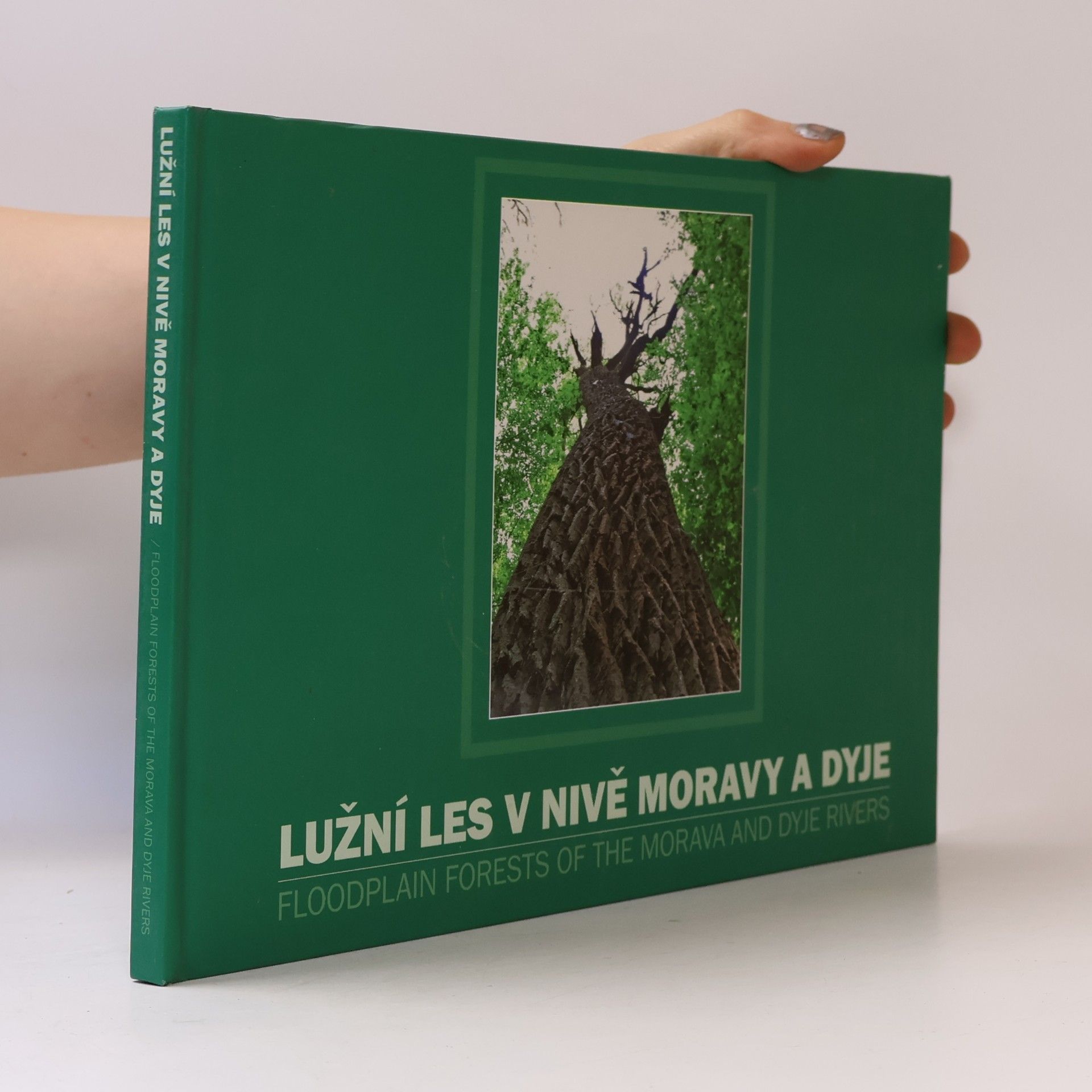 Petr Čupa Lužní les v nivě Moravy a Dyje = Floodplain forests the Morava and Dyje rivers
