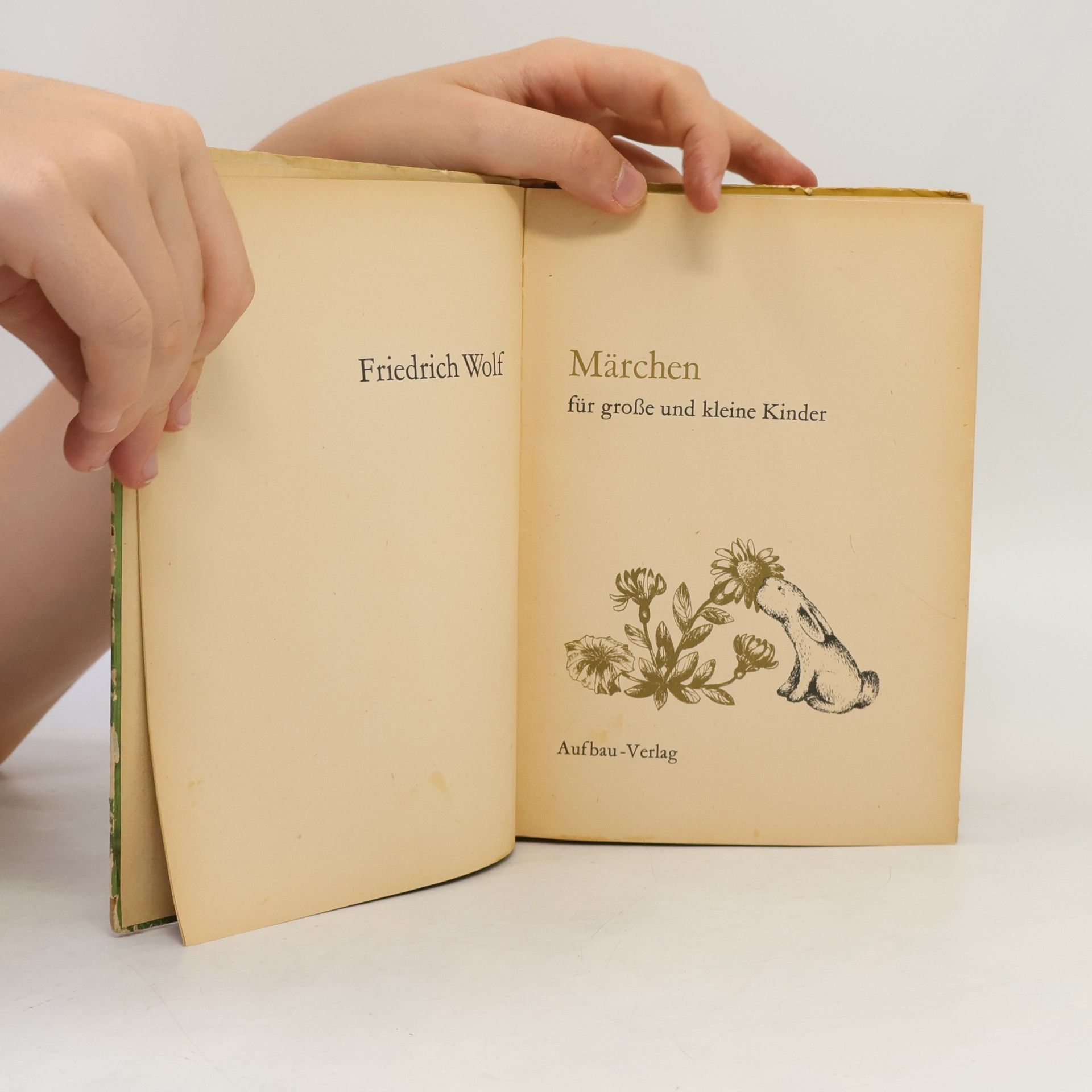 Friederich Wolf Märchen für große und kleine Kinder