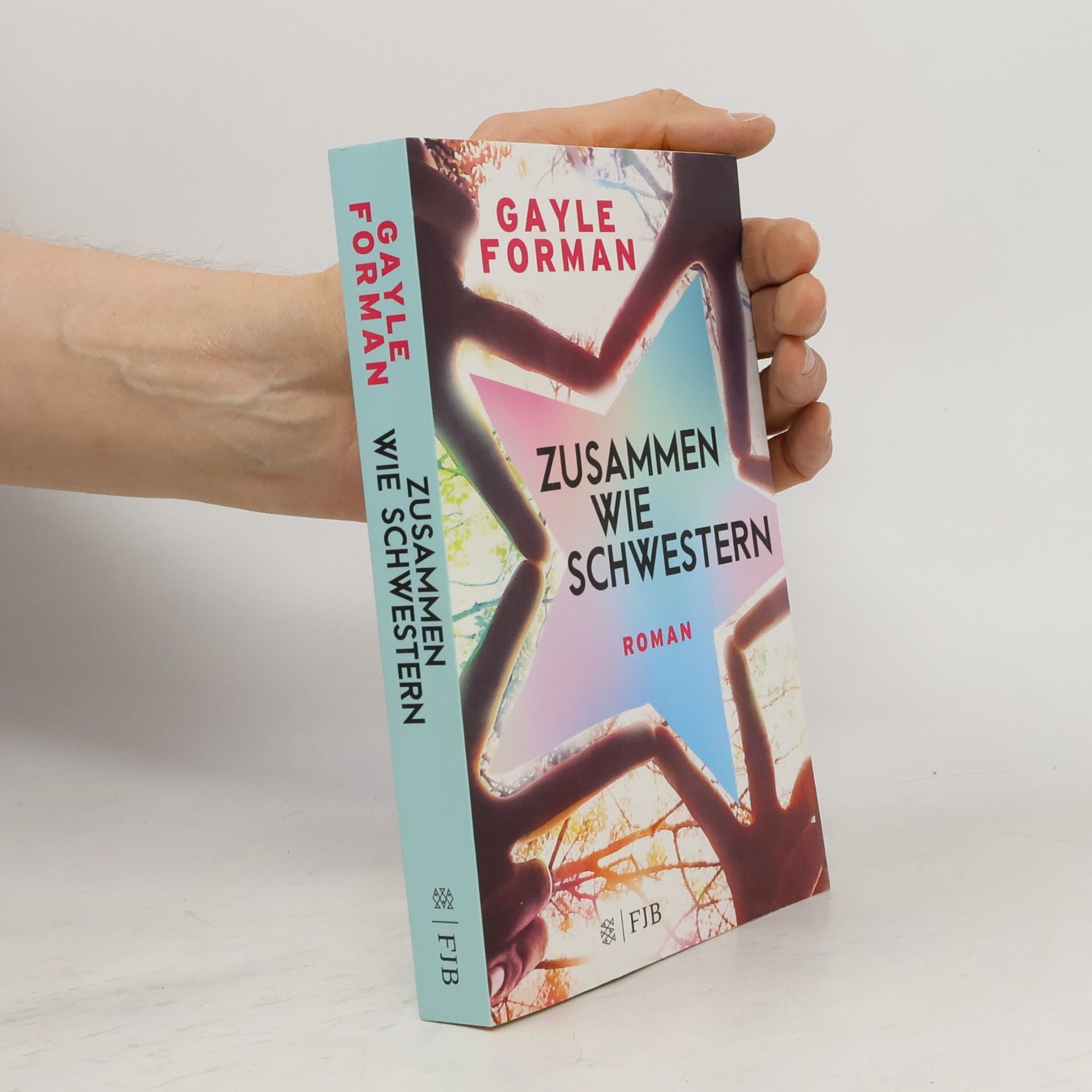 Gayle Forman Zusammen wie Schwestern