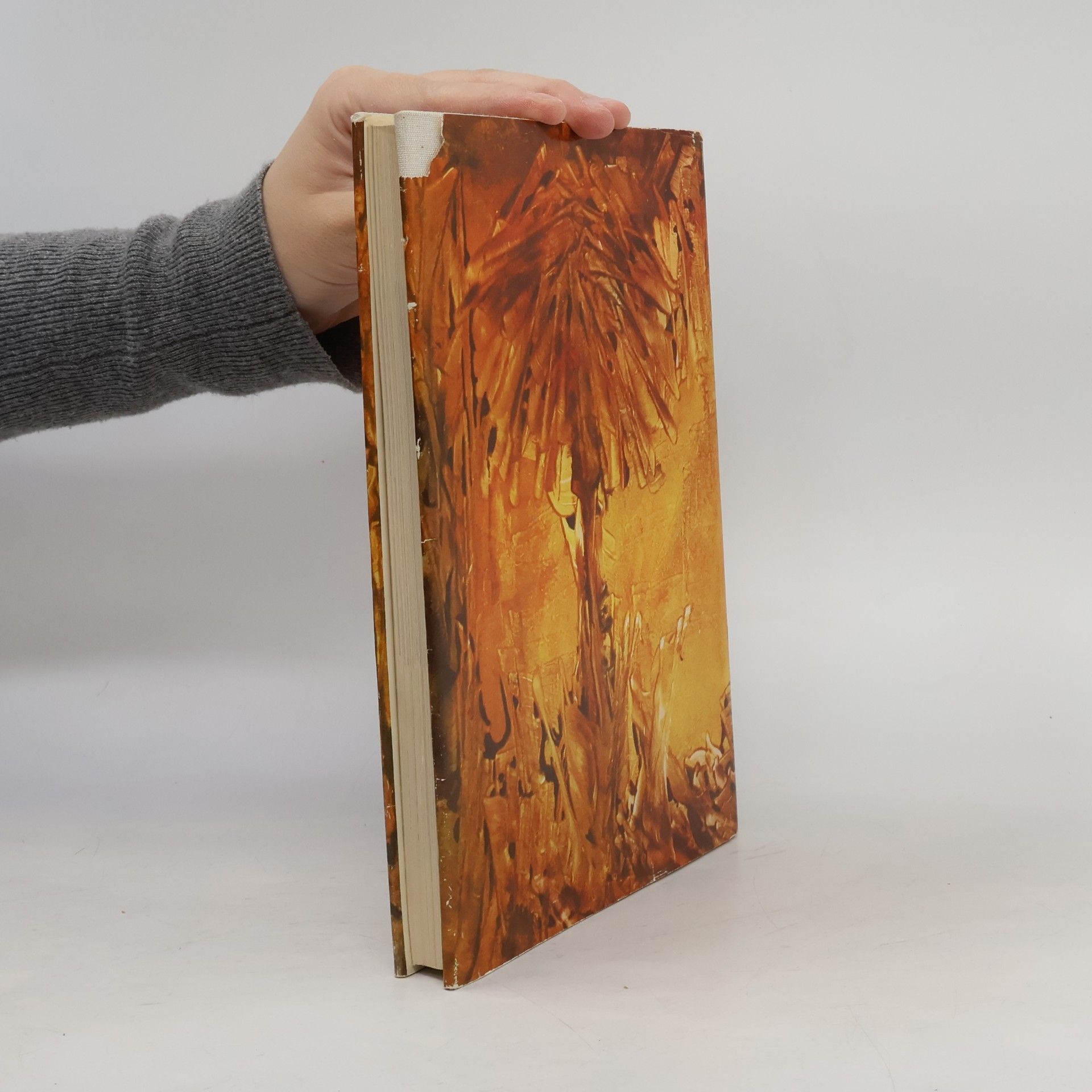Willi Meinck Das Ramayana