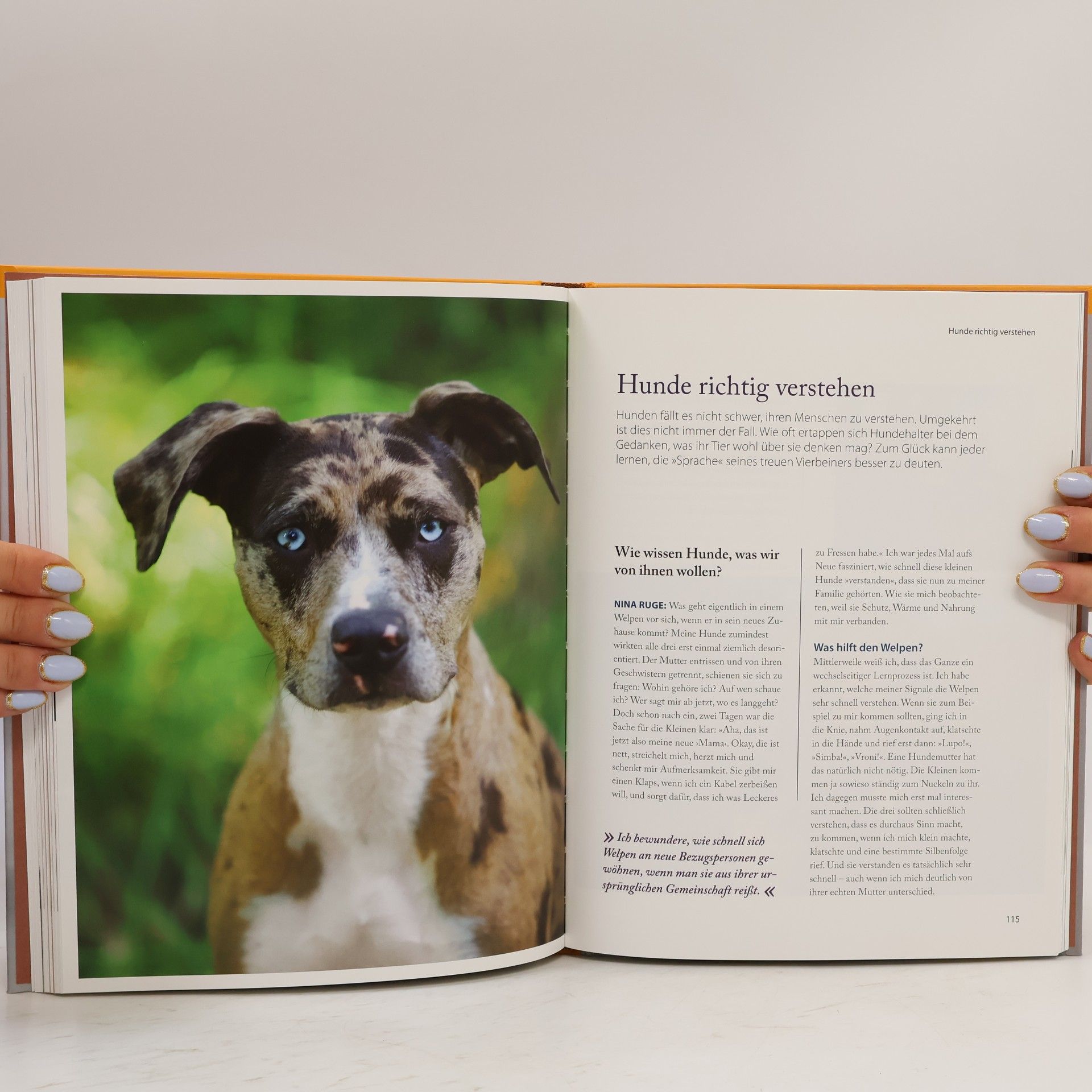 Nina Ruge Was fühlt mein Hund? Was denkt mein Hund?
