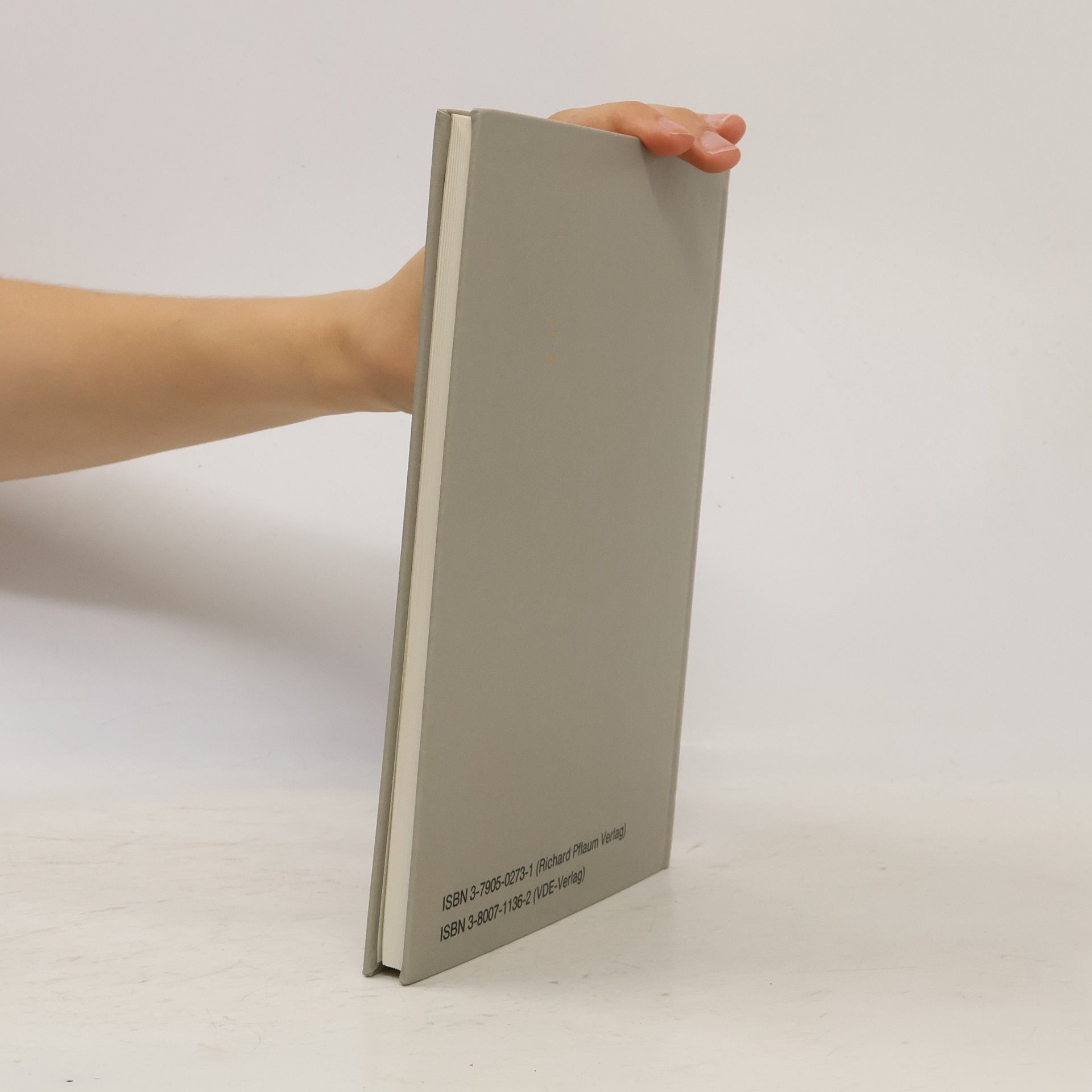 Johannes Wiesinger Handbuch für Blitzschutz und Erdung