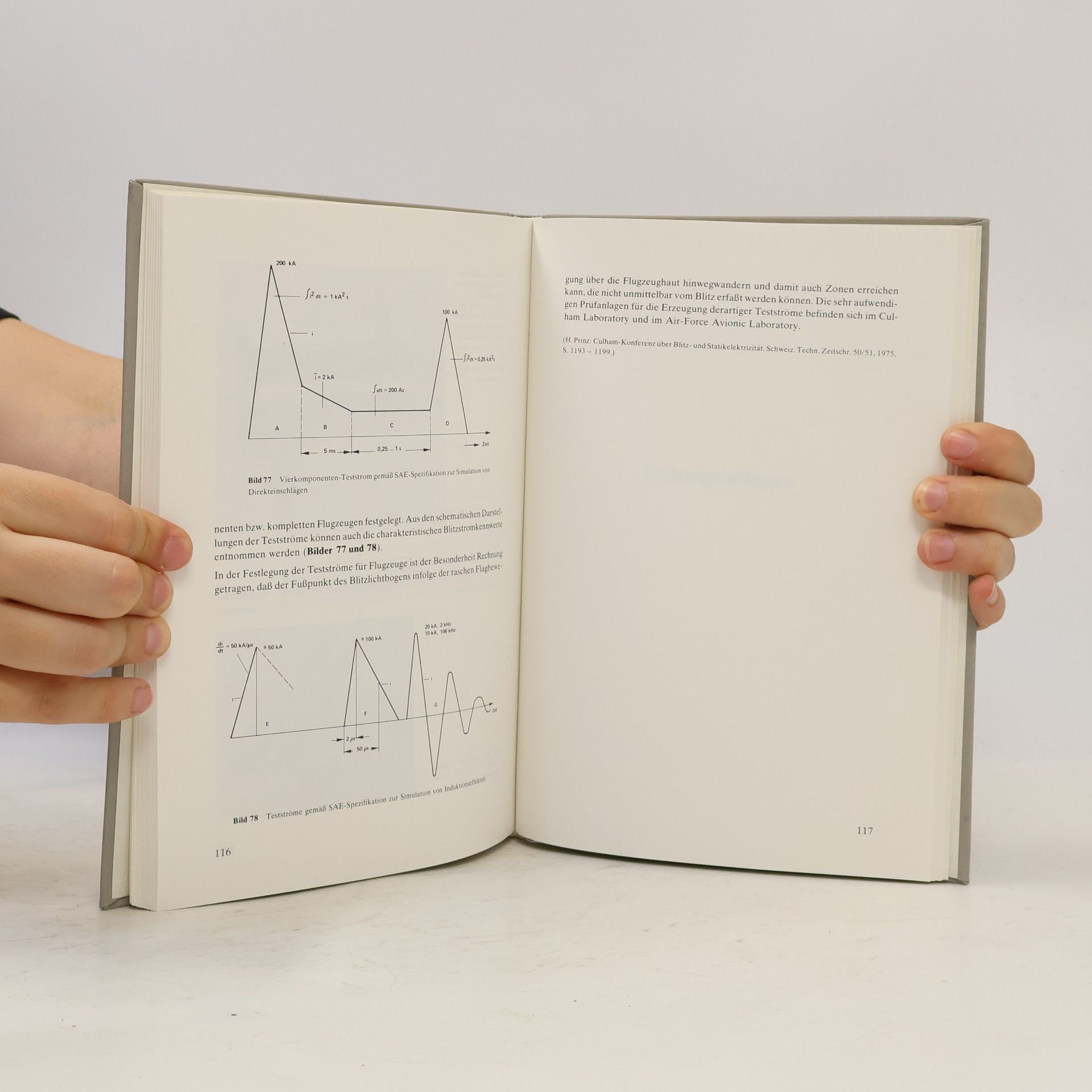 Johannes Wiesinger Handbuch für Blitzschutz und Erdung