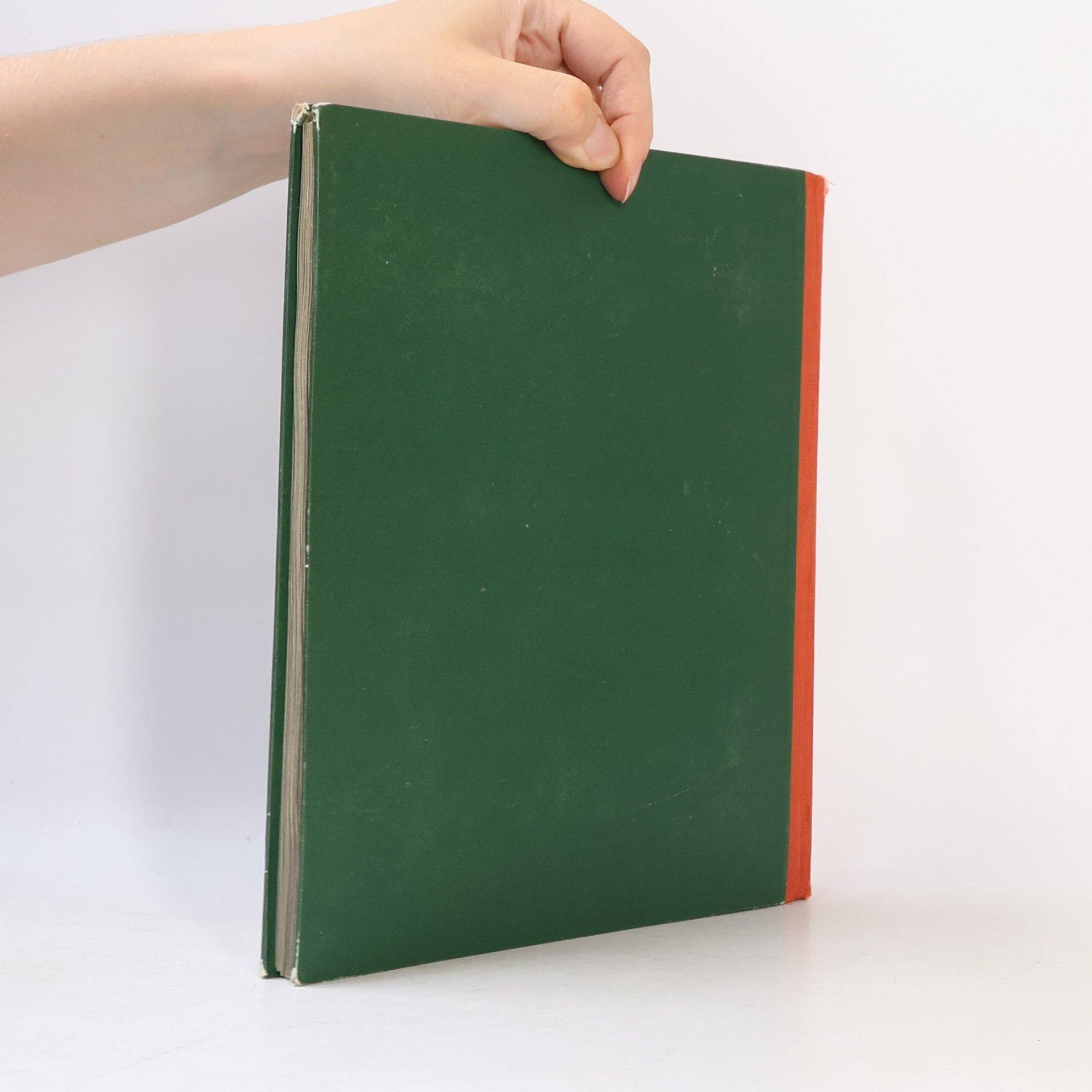 Autorenkollektiv Mein Bastelbuch