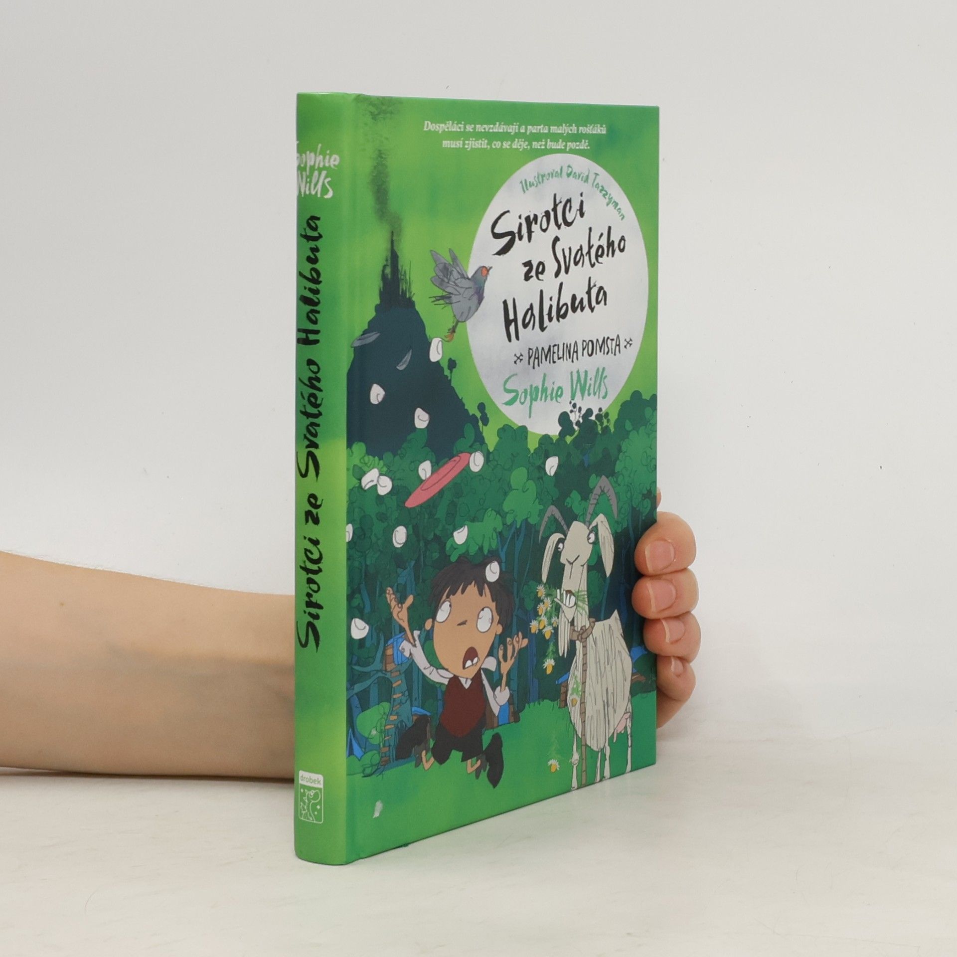 Sophie Wills Sirotci ze Svatého Halibuta. Pamelina pomsta