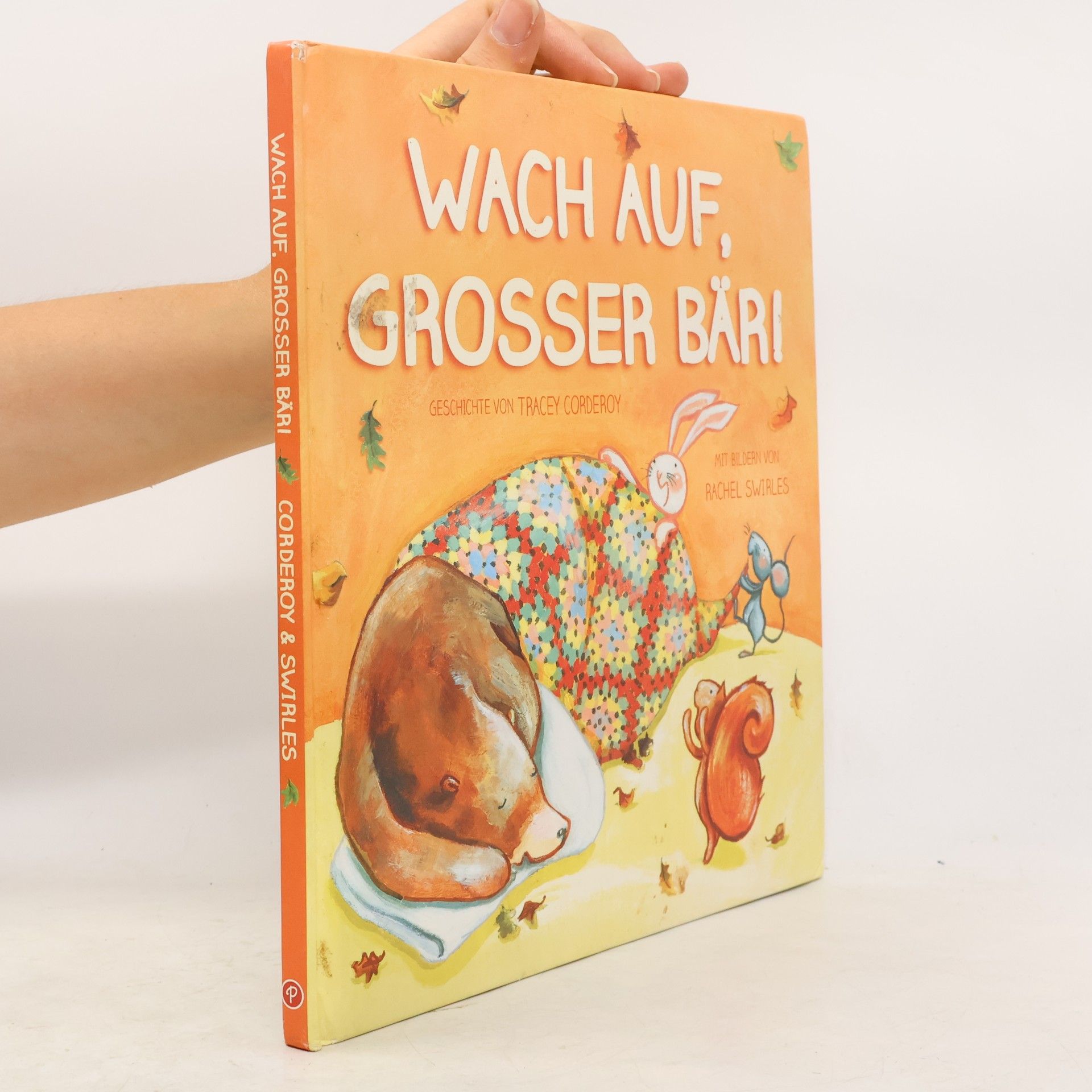 Tracey Corderoy Wach auf, großer Bär!