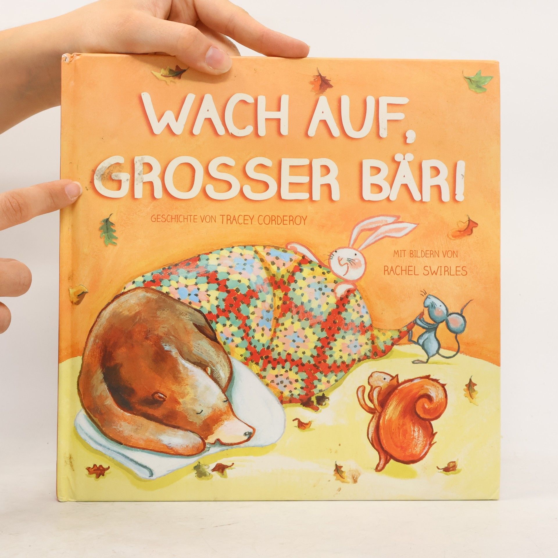 Tracey Corderoy Wach auf, großer Bär!
