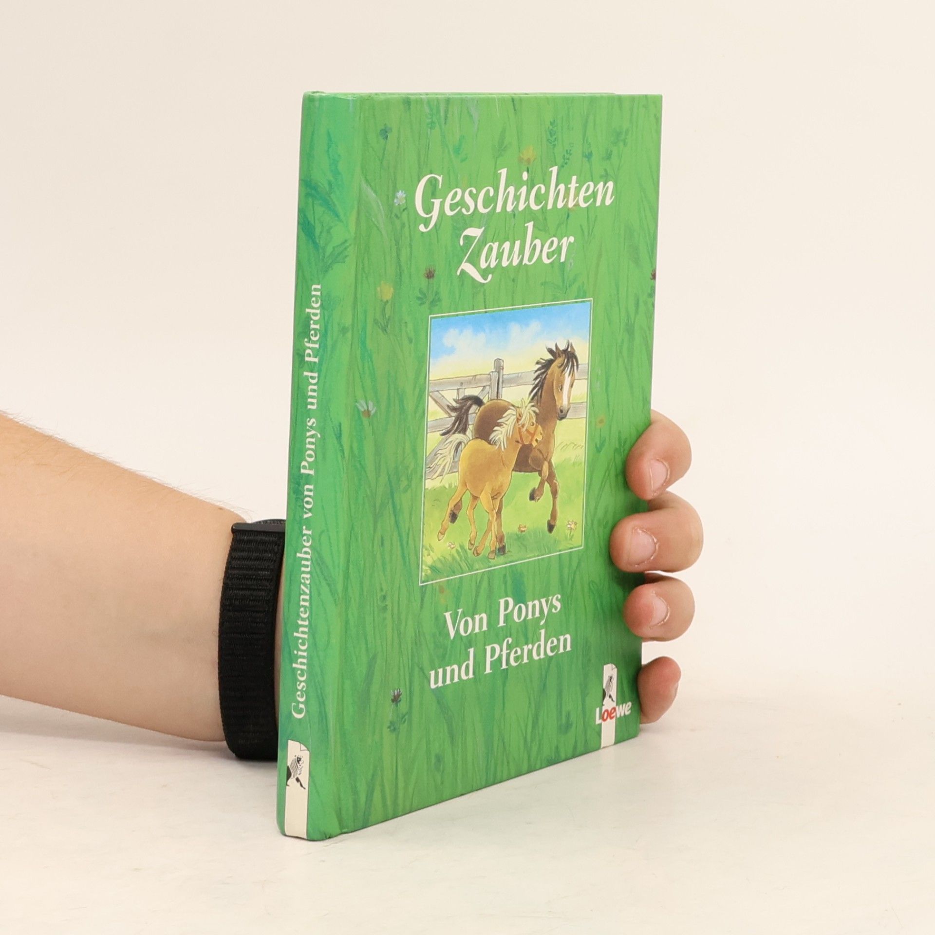 Various authors GeschichtenZauber