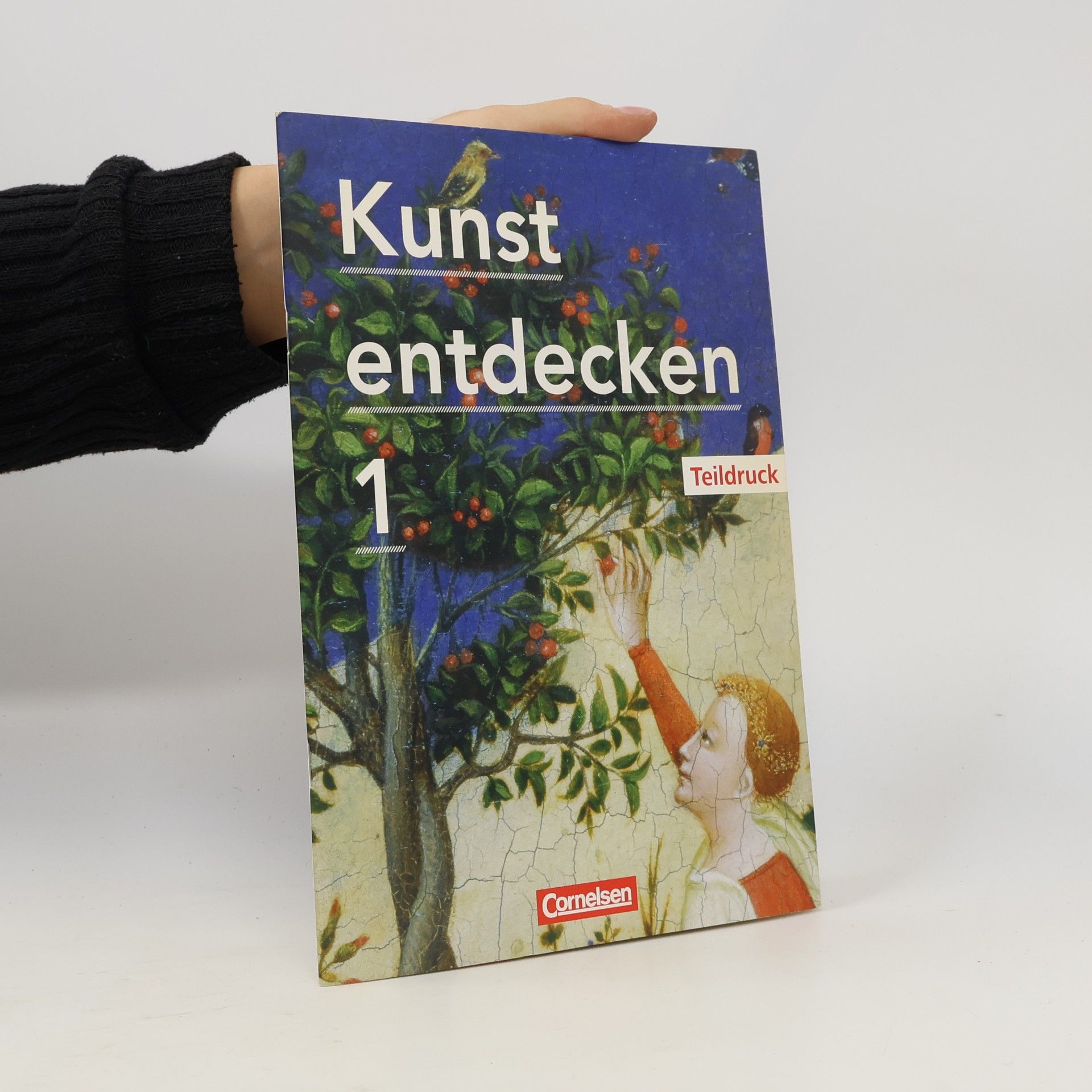 Kolektív autorov Kunst entdecken 1. Teildruck
