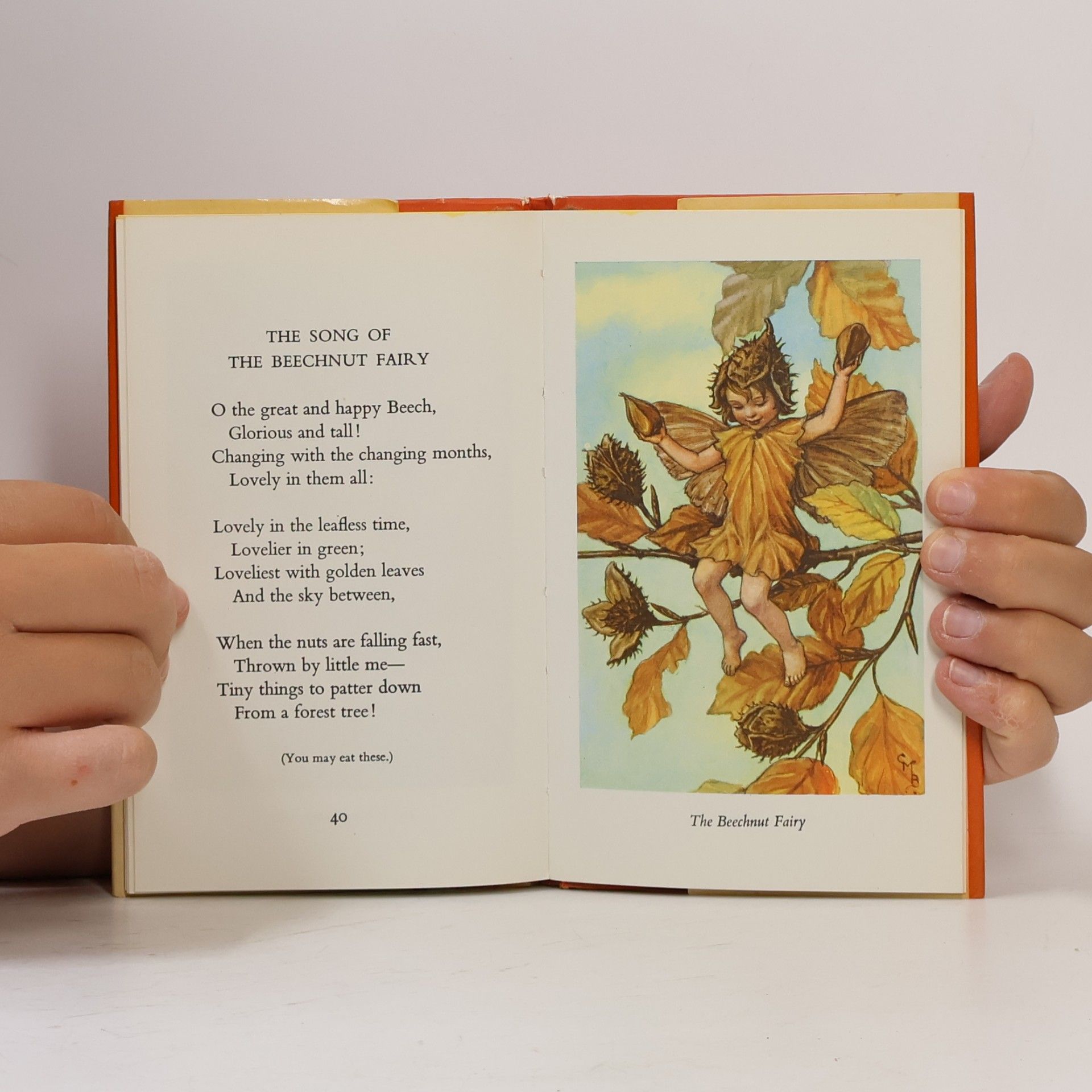 Cicely M. Barker Flower Fairies of the Autumn
