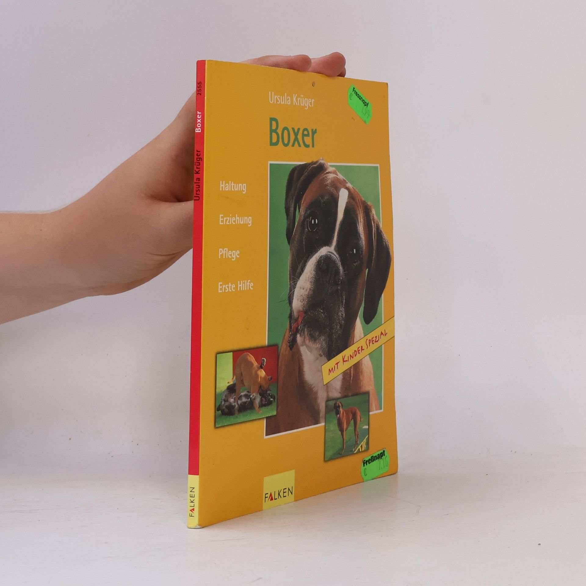 Der Boxer