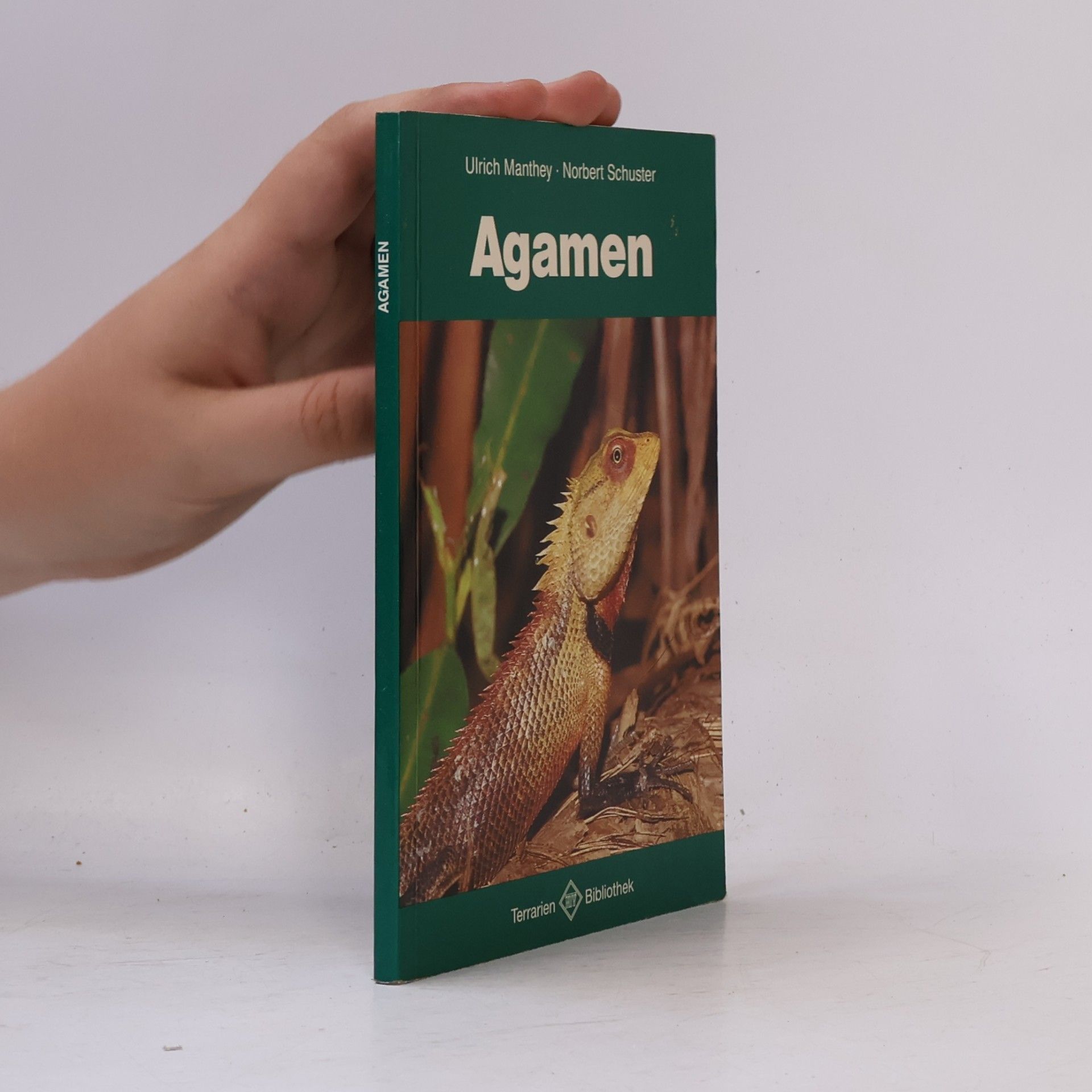 Ulrich Manthey Agamen
