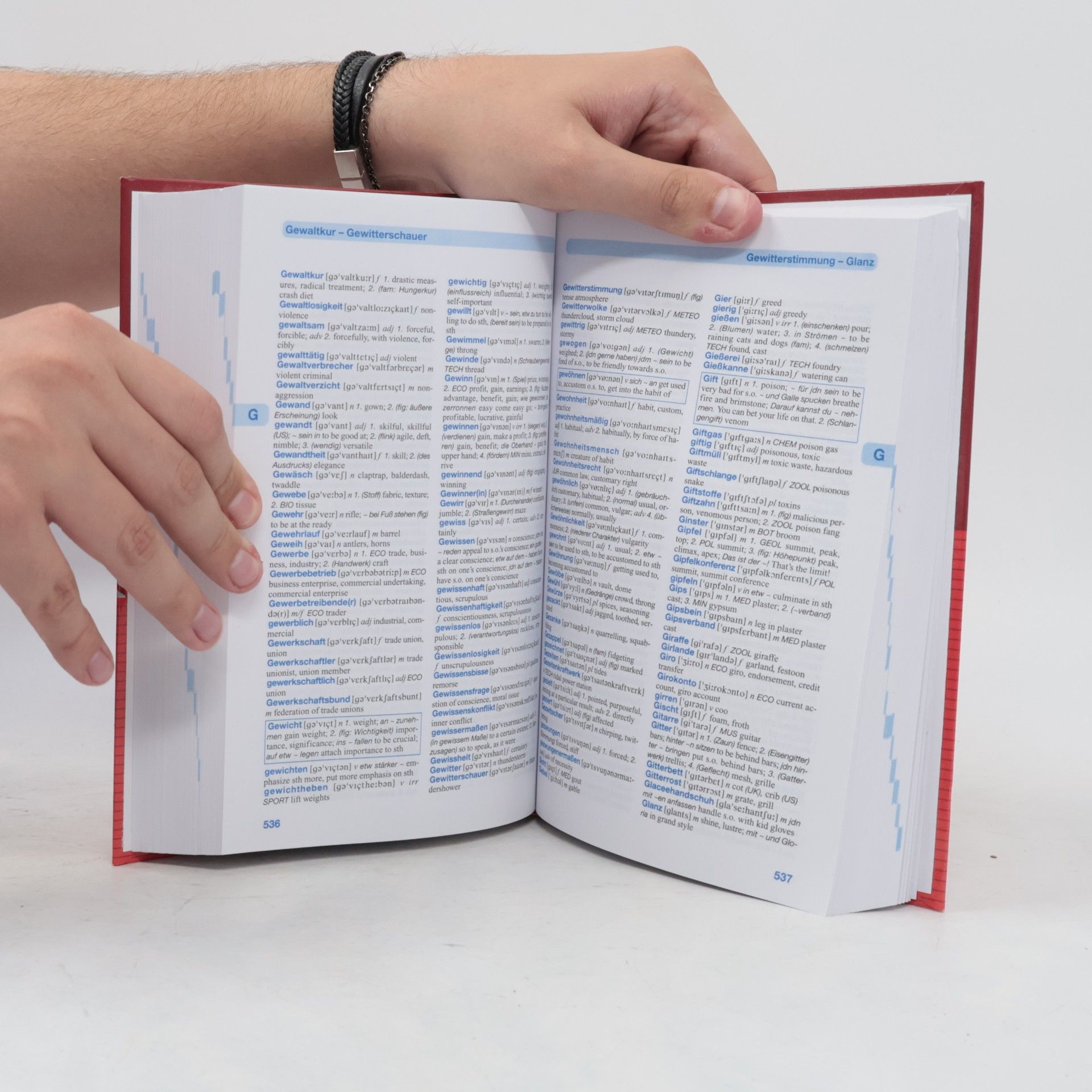 kolektiv Wörterbuch Englisch