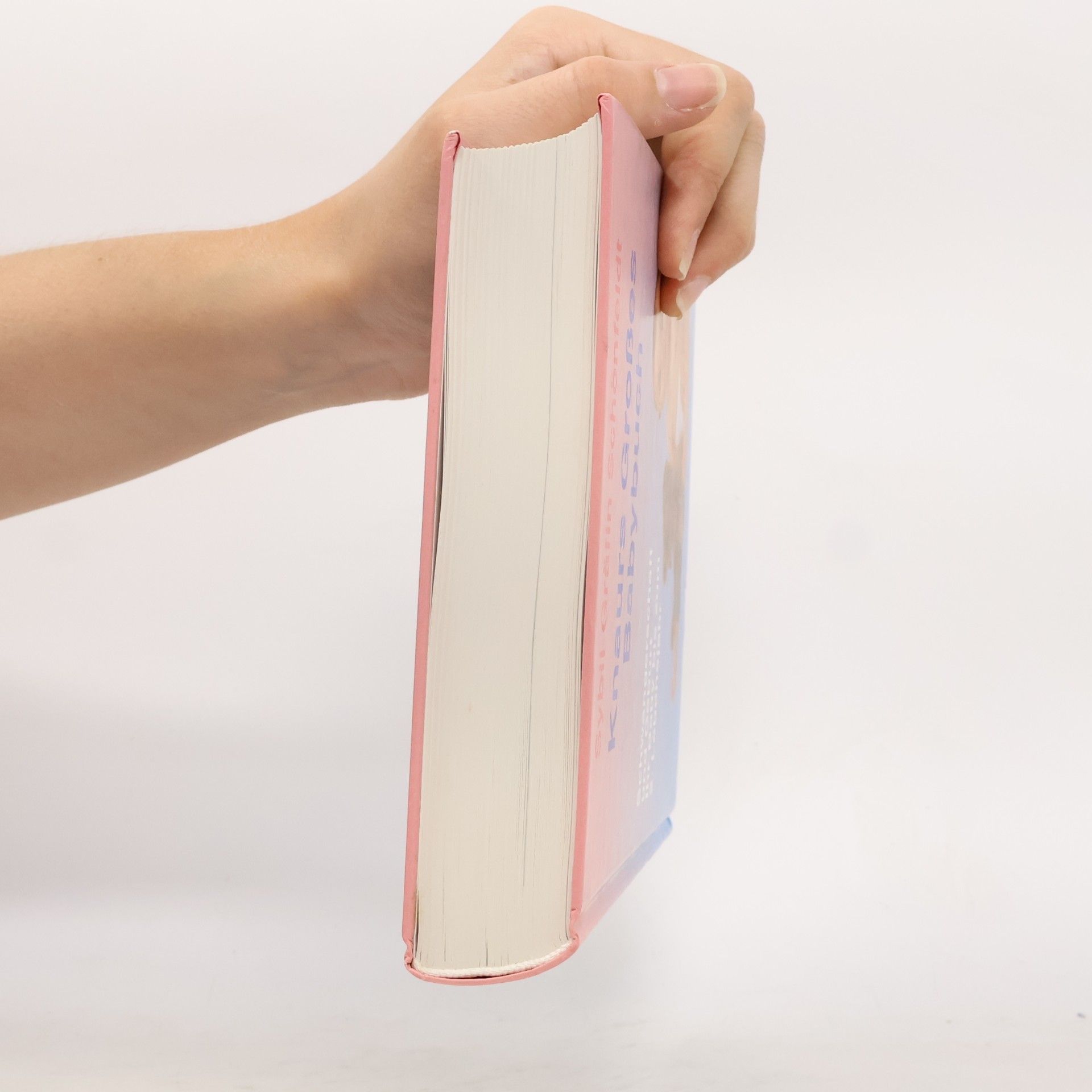 Sybil Gräfin Schönfeldt Knaurs grosses Babybuch