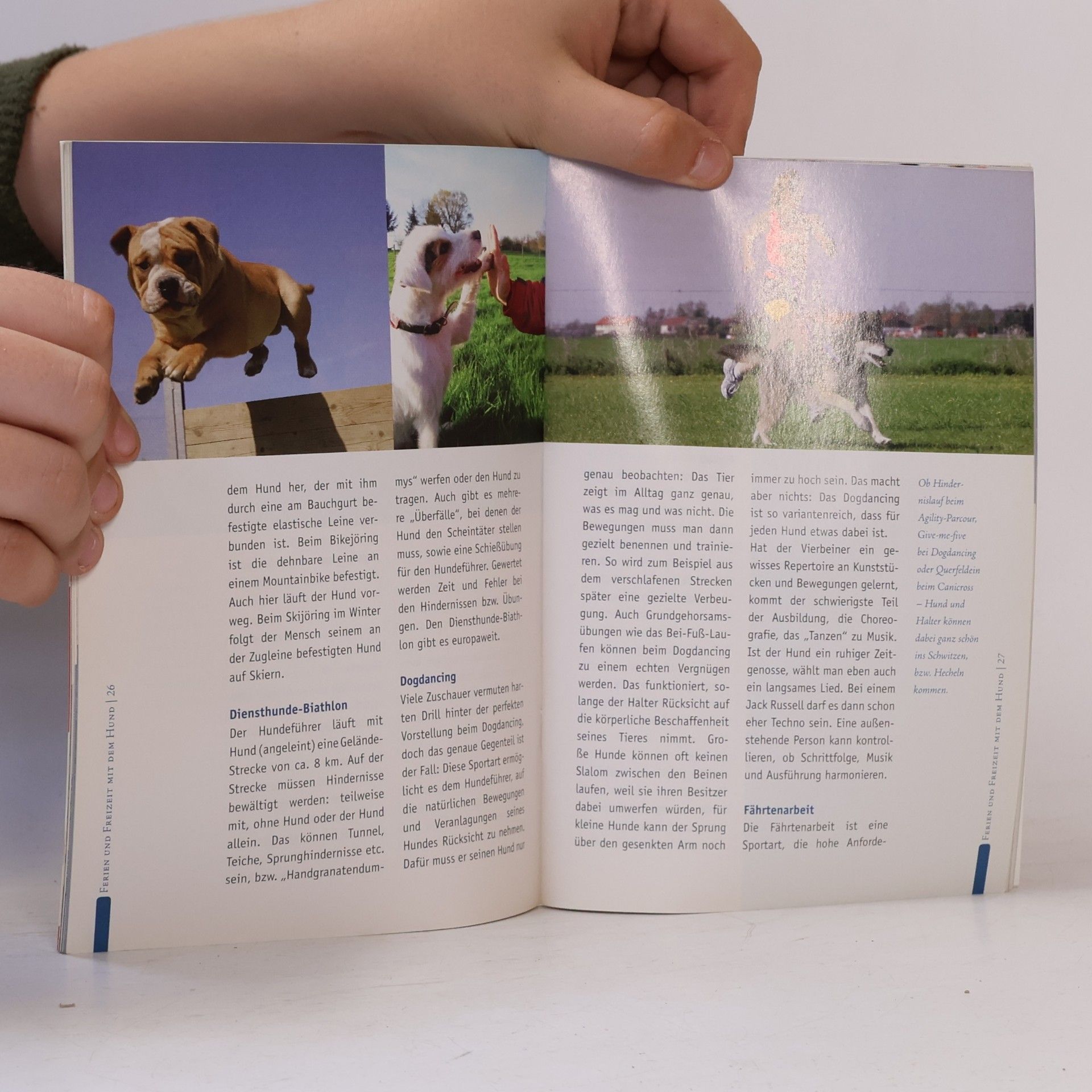 Ratgeber Tiere - Ferien und Freizeitspaß mit unserem Hund
