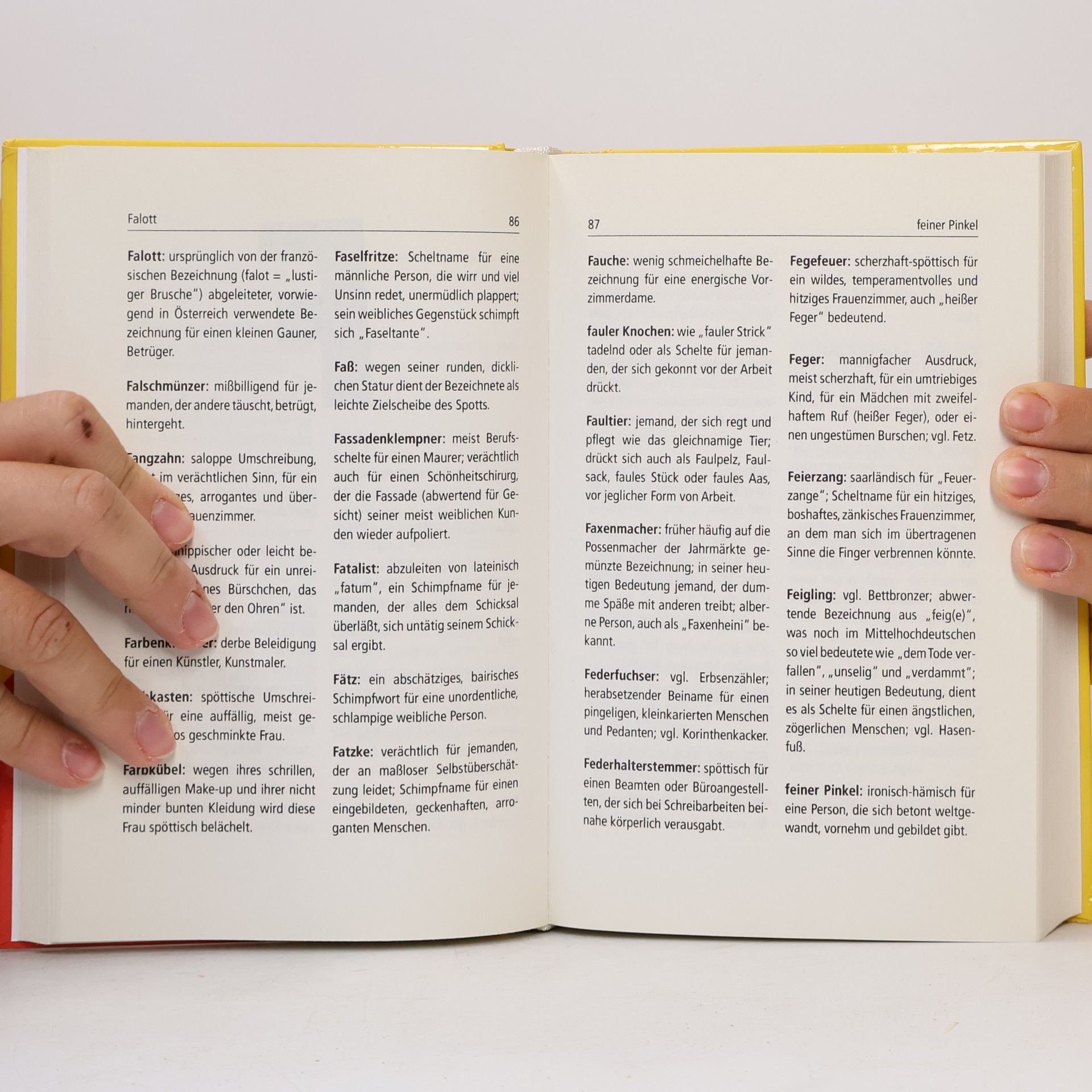 Sabine Geier Leisch Das neue Schimpfwörterbuch