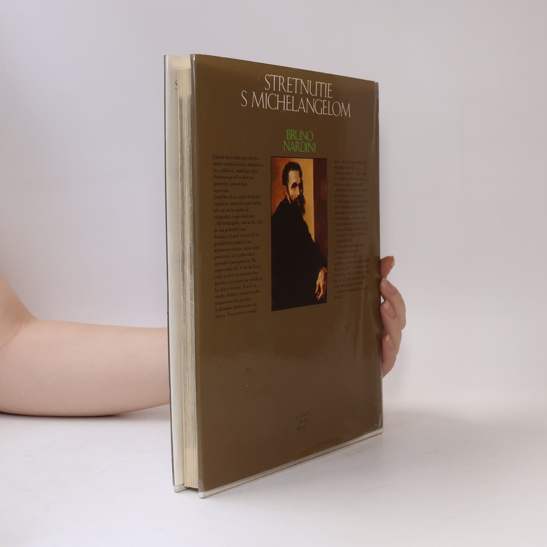 Bruno Nardini Stretnutie s Michelangelom