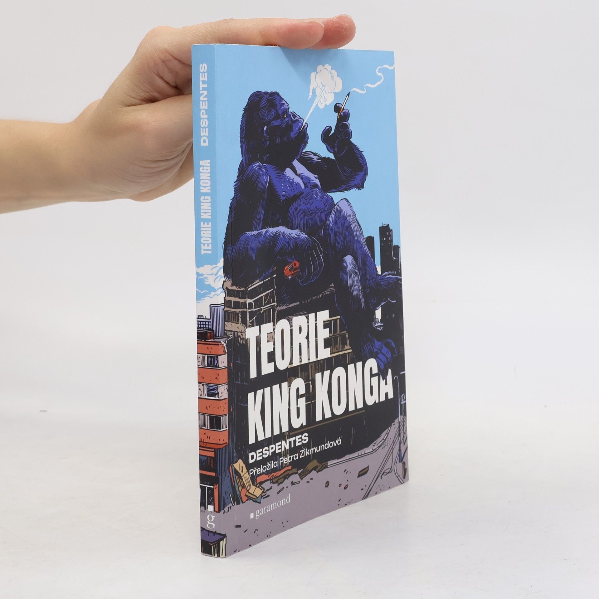 Virginie Despentes Teorie King Konga