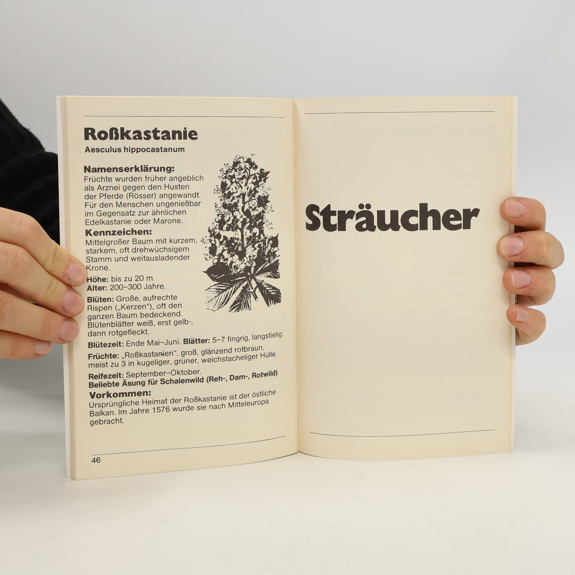 Auteurscollectief Der Wald seine Bäume und Sträucher