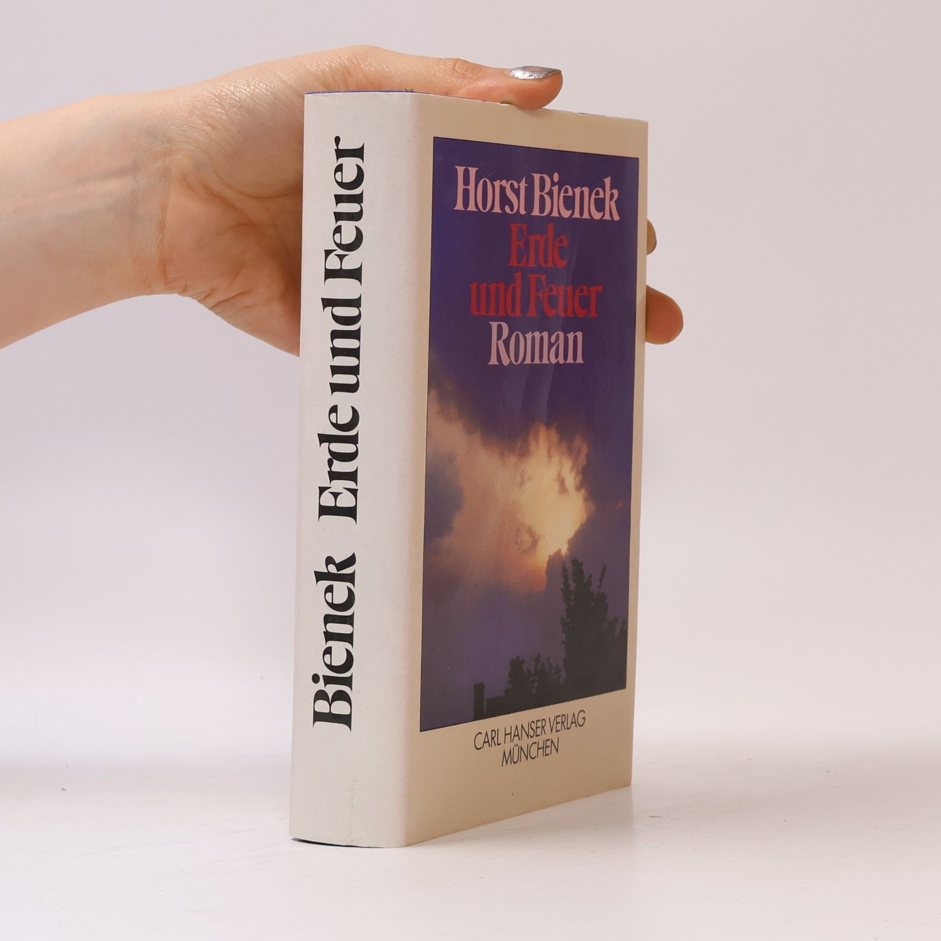 Horst Bienek Erde und Feuer