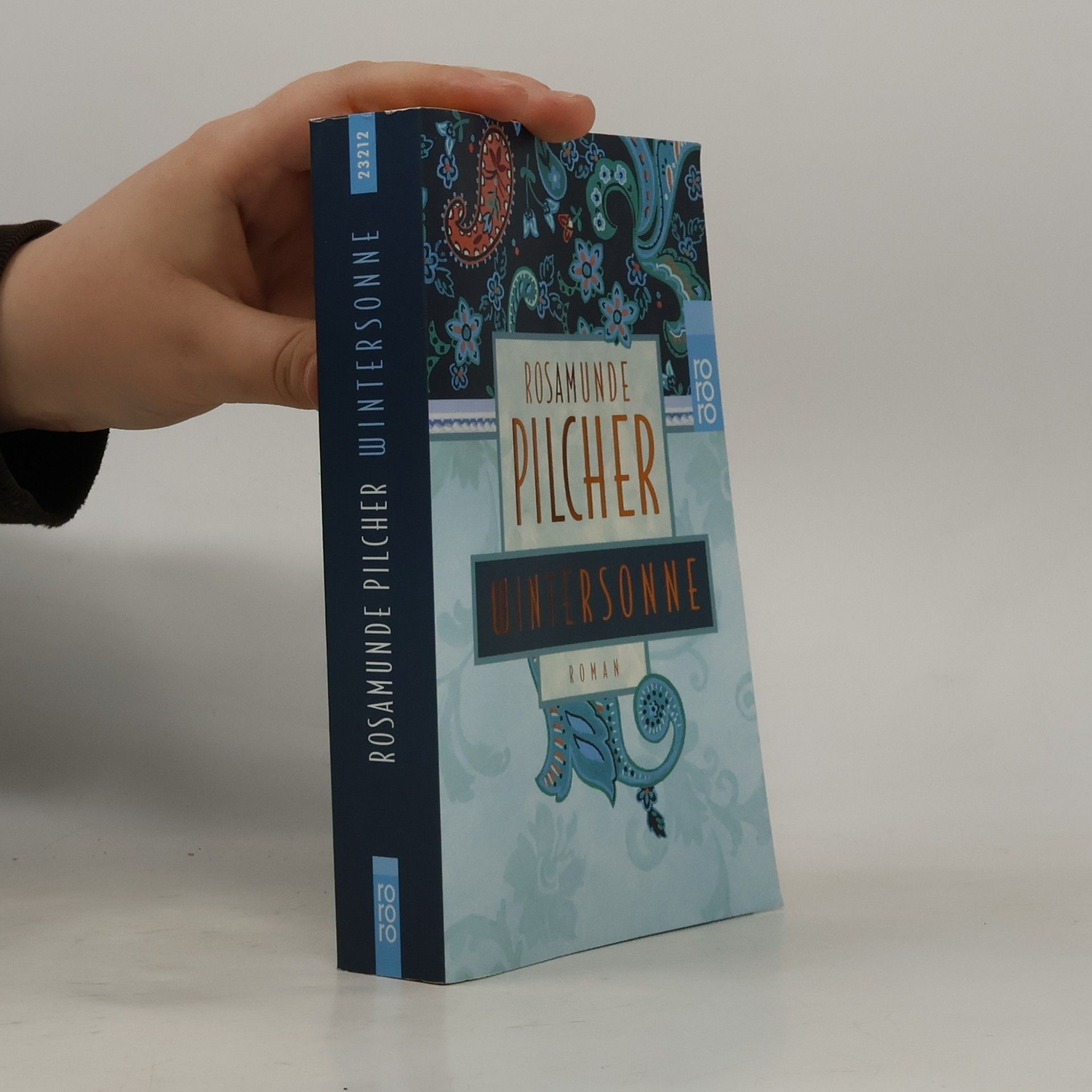 Rosamunde Pilcher Wintersonne