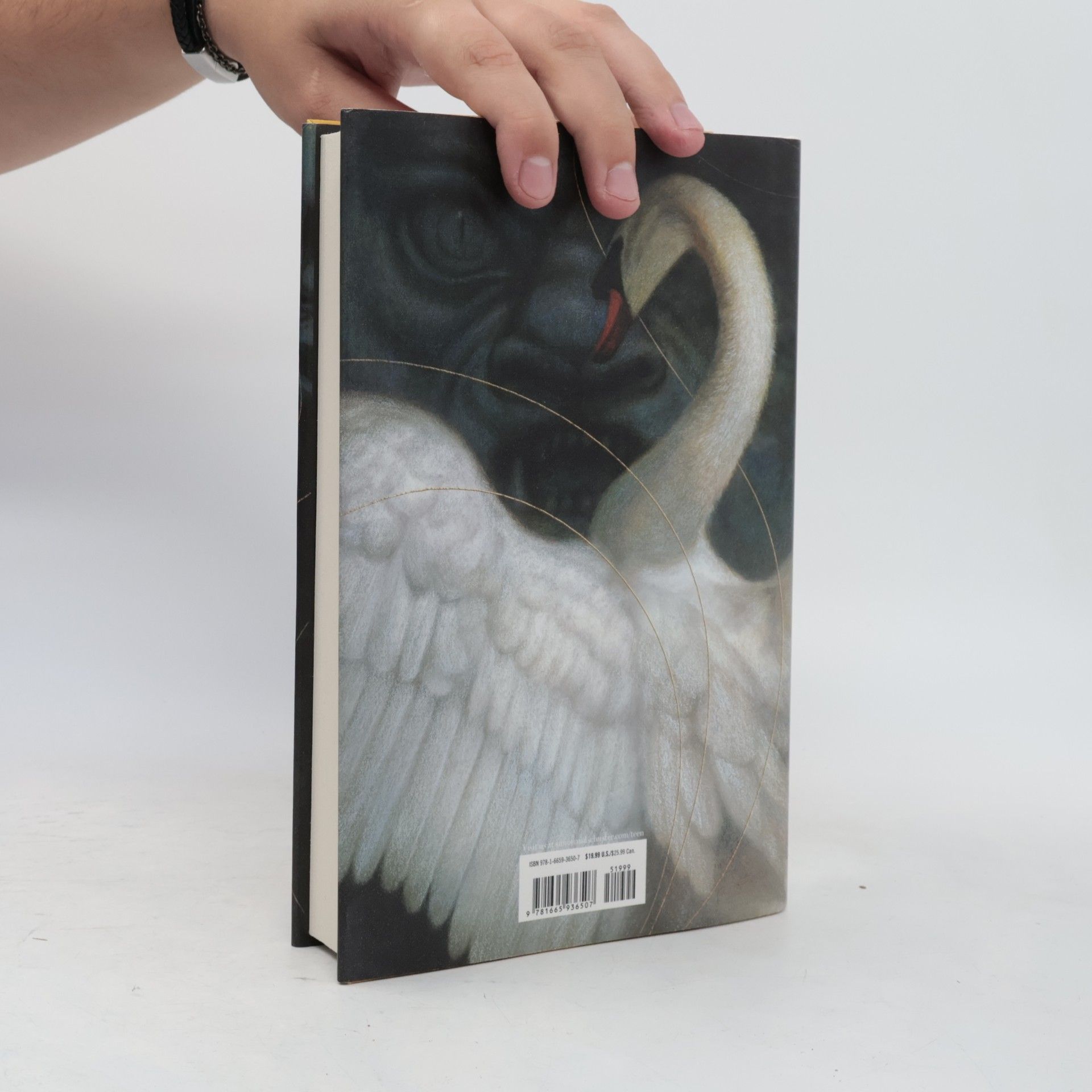 A. B. Poranek A Treachery of Swans