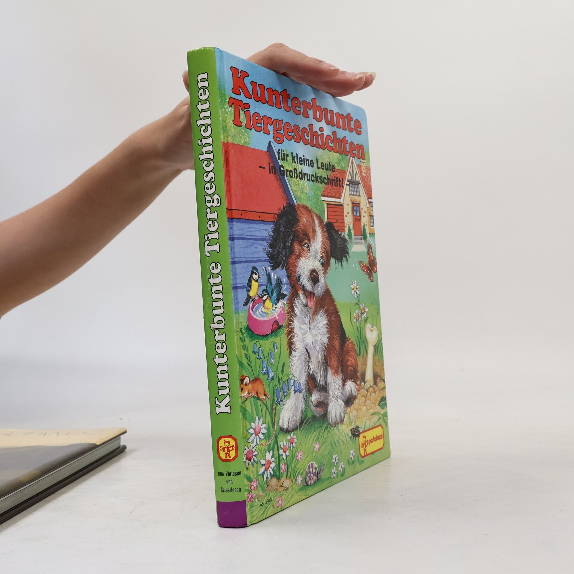 Autorenkollektiv Kunterbunte Tiergeschichten für kleine Leute - in Grossdruckschrift!