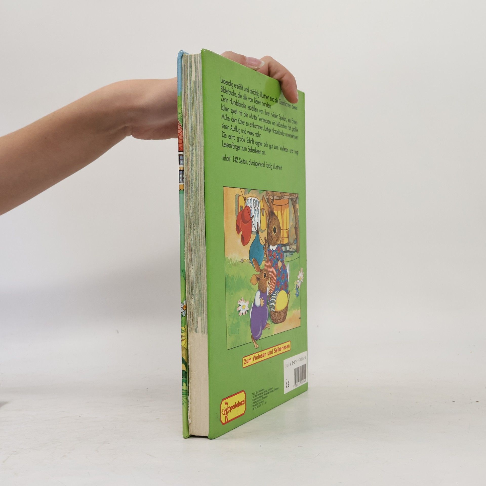 Autorenkollektiv Kunterbunte Tiergeschichten für kleine Leute - in Grossdruckschrift!