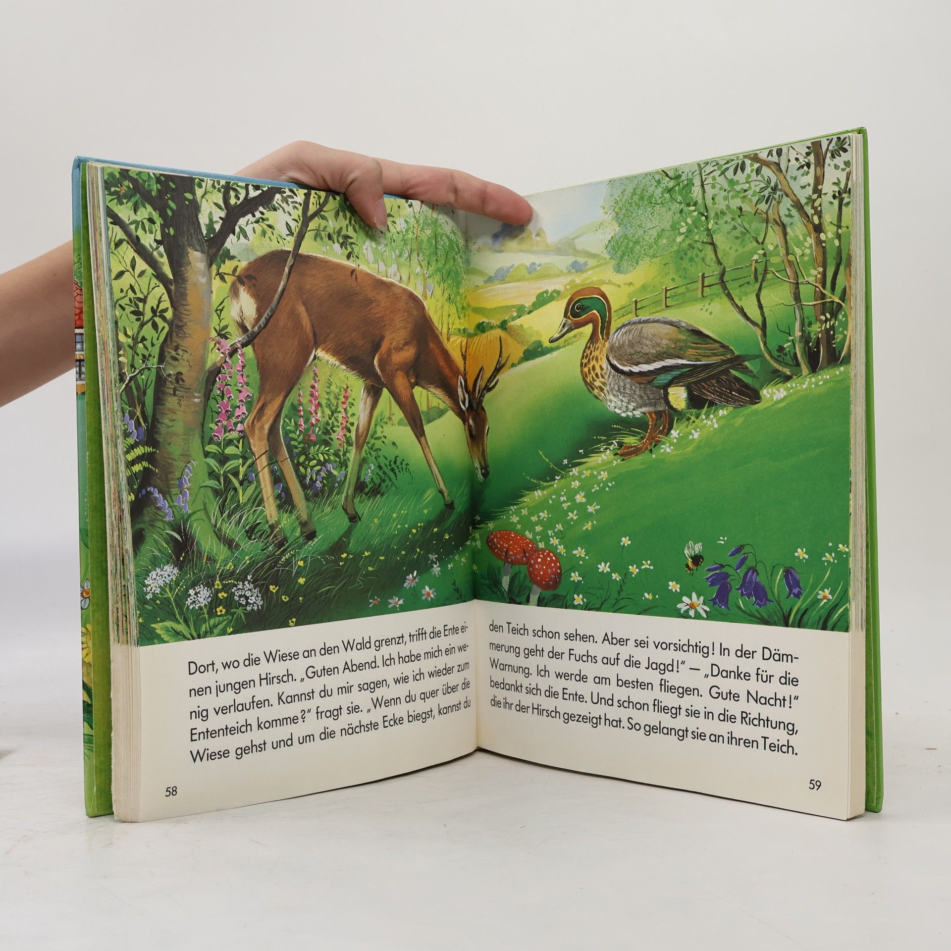 Autorenkollektiv Kunterbunte Tiergeschichten für kleine Leute - in Grossdruckschrift!
