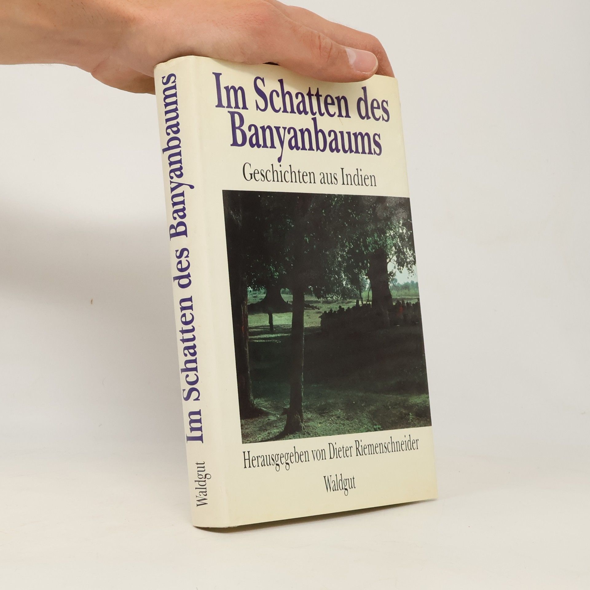 Various authors Im Schatten des Banyanbaums. Geschichten aus Indien