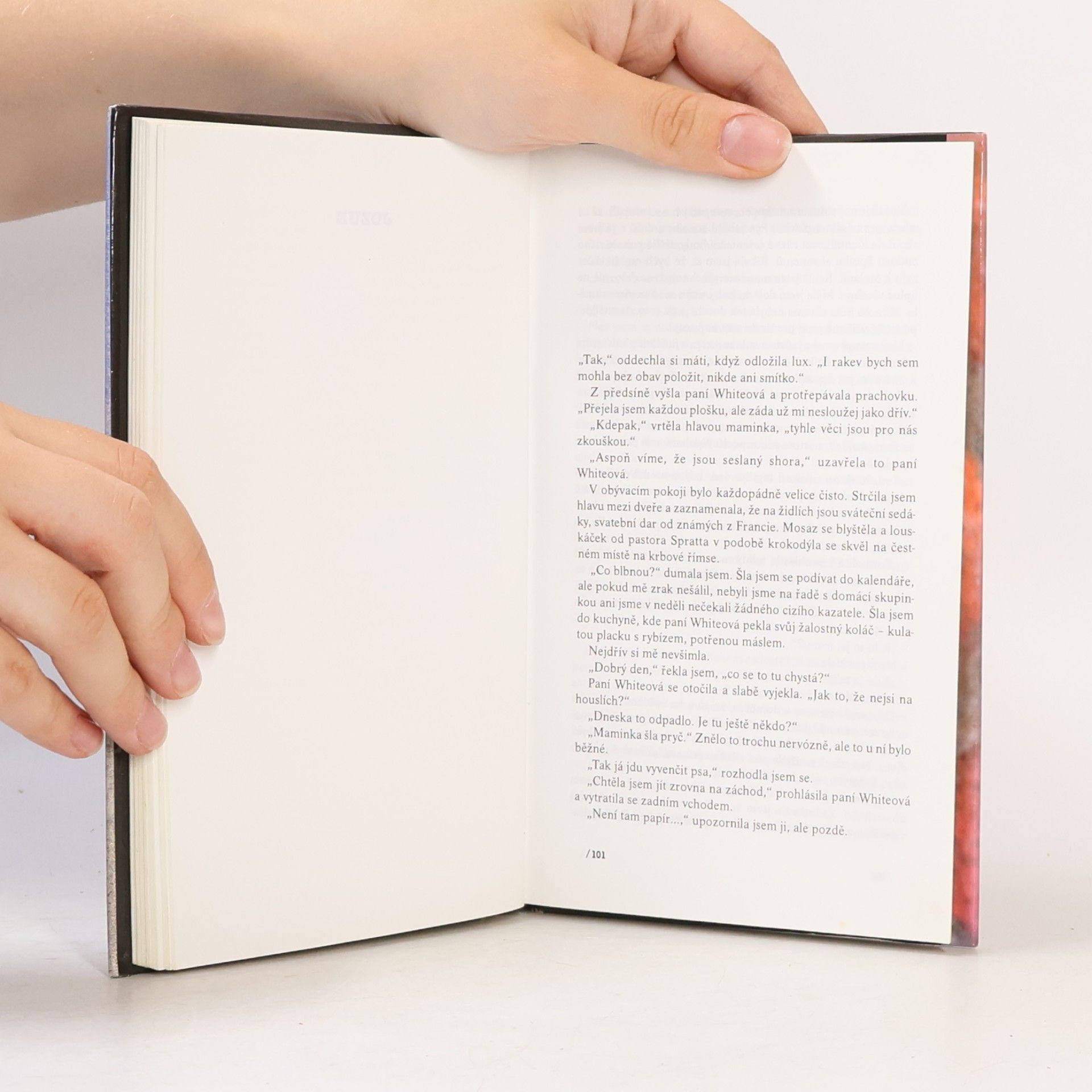 Jeanette Winterson Na světě nejsou jen pomeranče