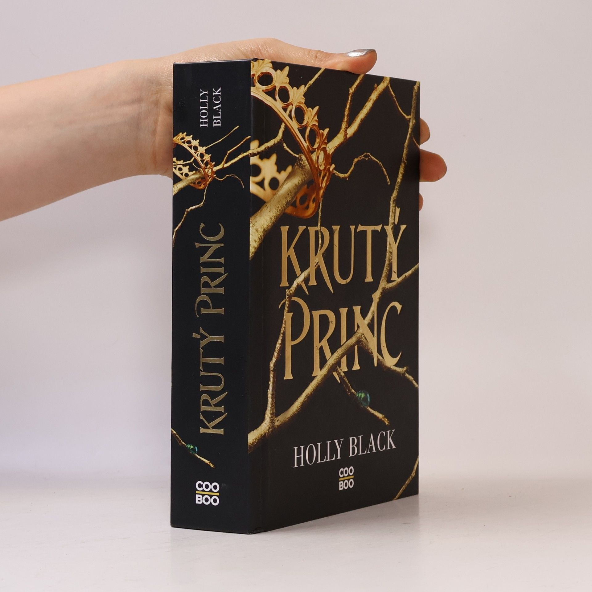 Holly Black Krutý princ