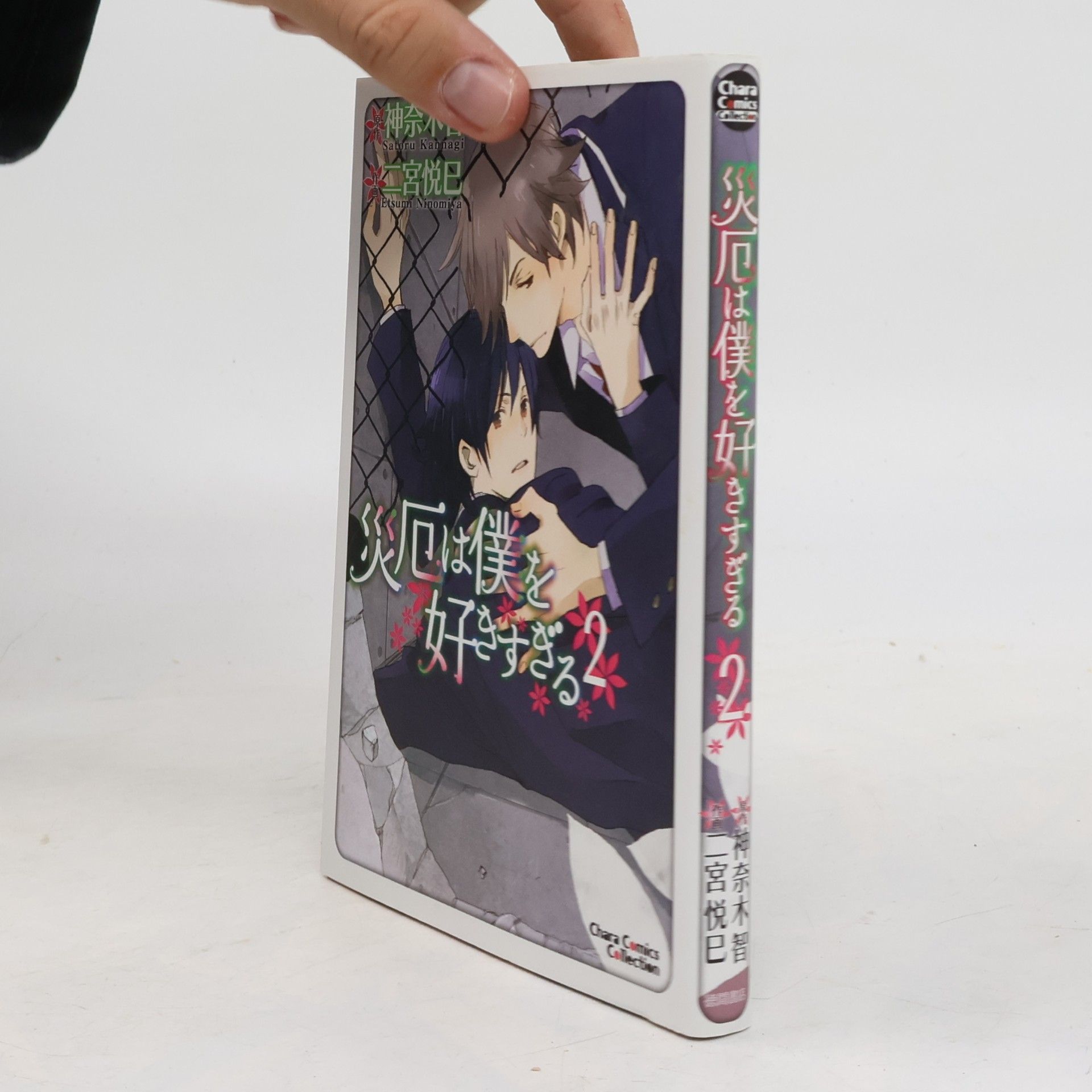 災厄は僕を好きすぎる2