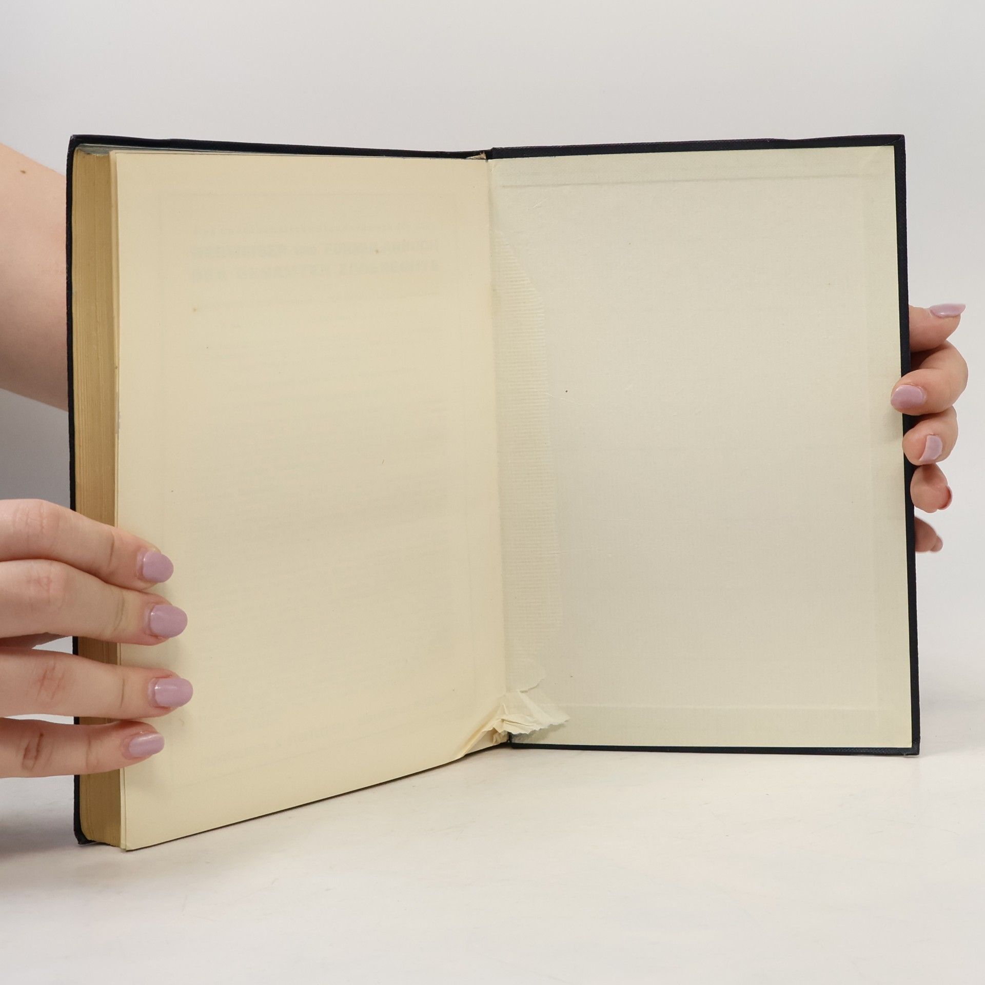 Karl Dürwanger Handbuch des Privatklagerechts