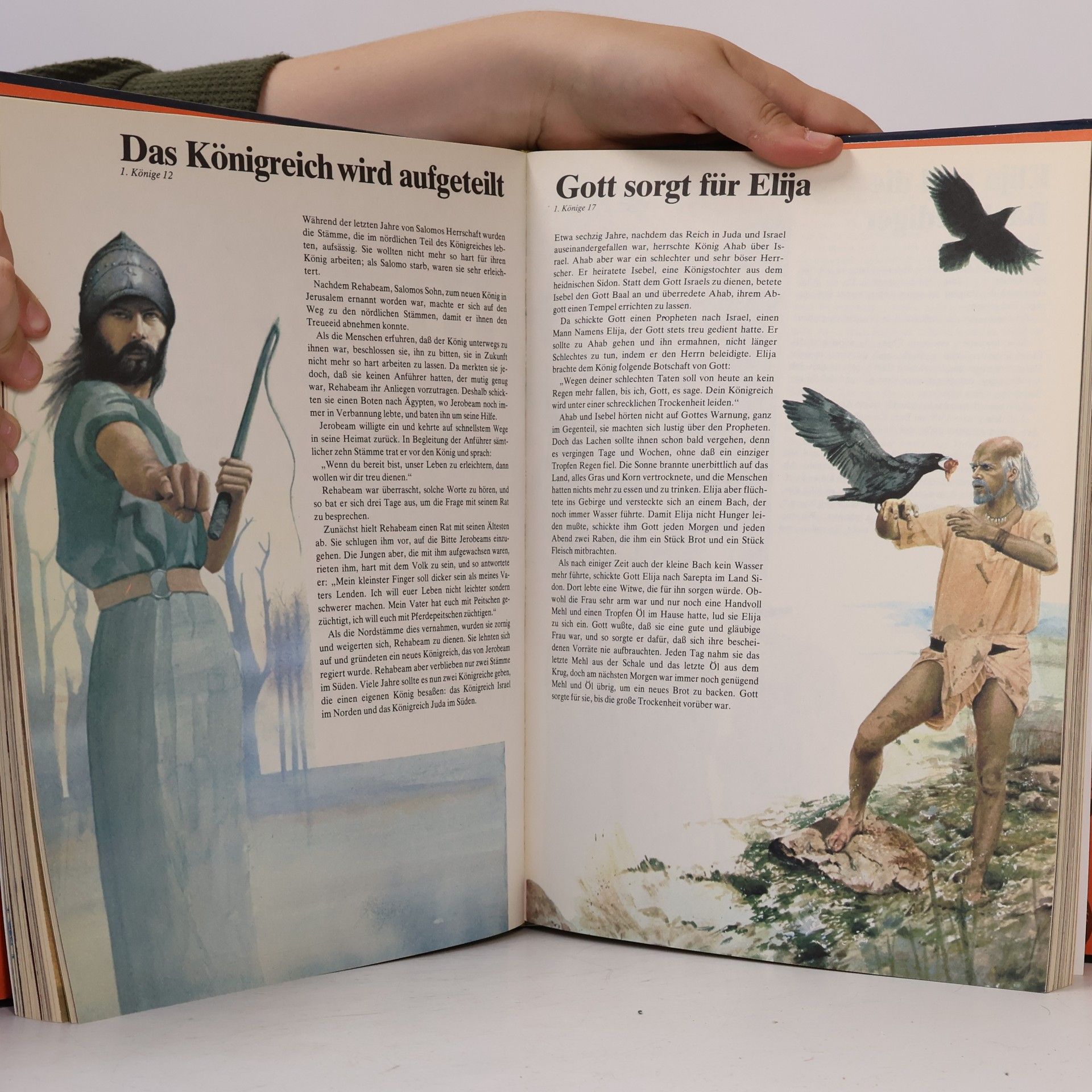 Autorenkollektiv Die Bibel