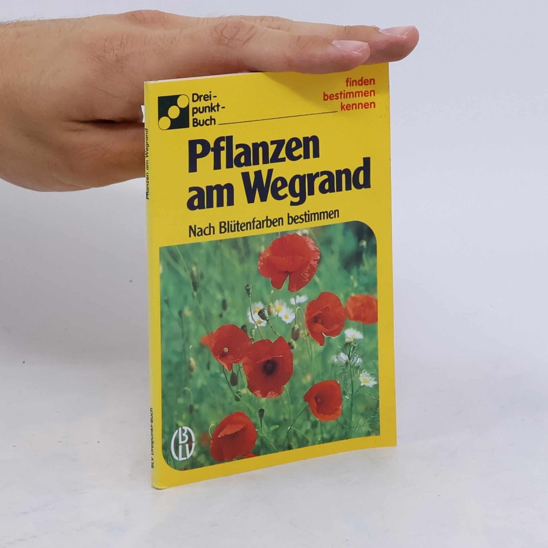 Alfred Handel Pflanzen am Wegrand