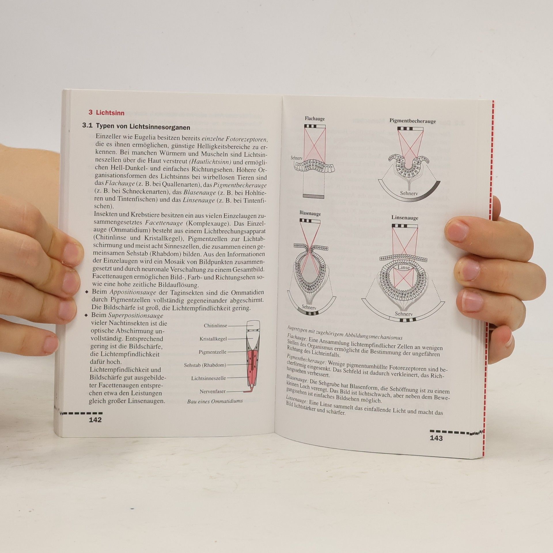 Walter Kleesattel Biologie: Pocket teacher
