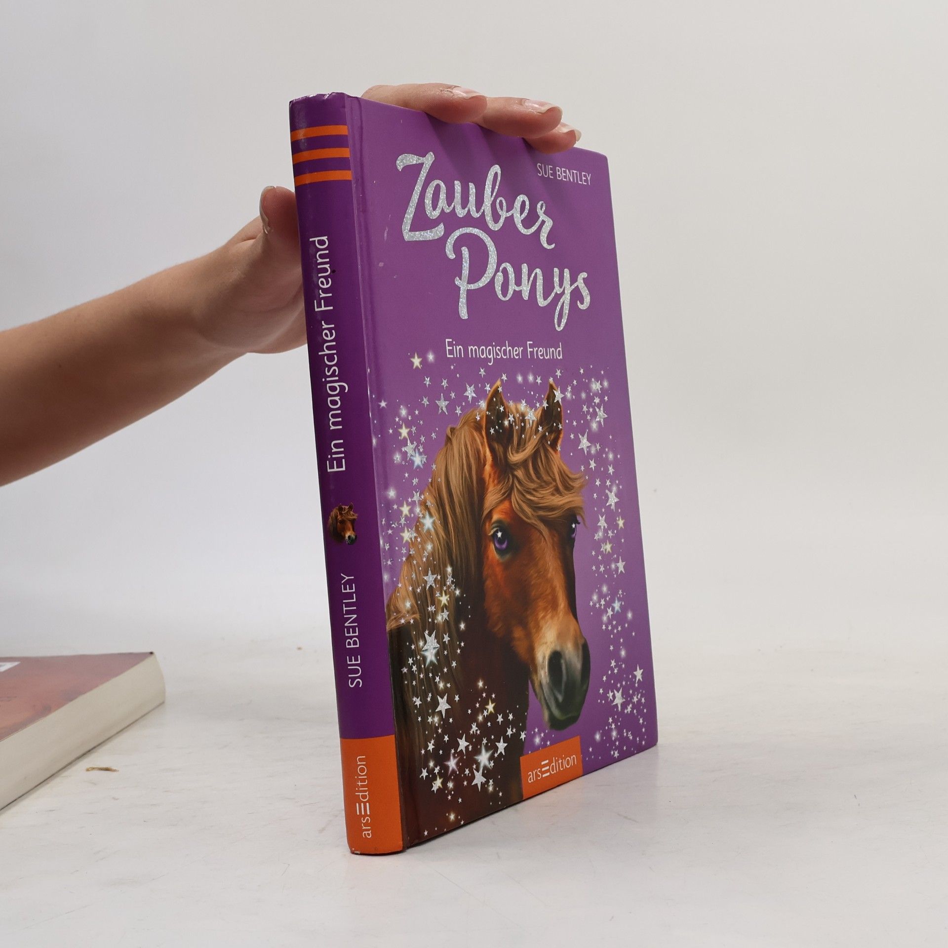 Sue Bentley Zauberponys - ein magischer Freund