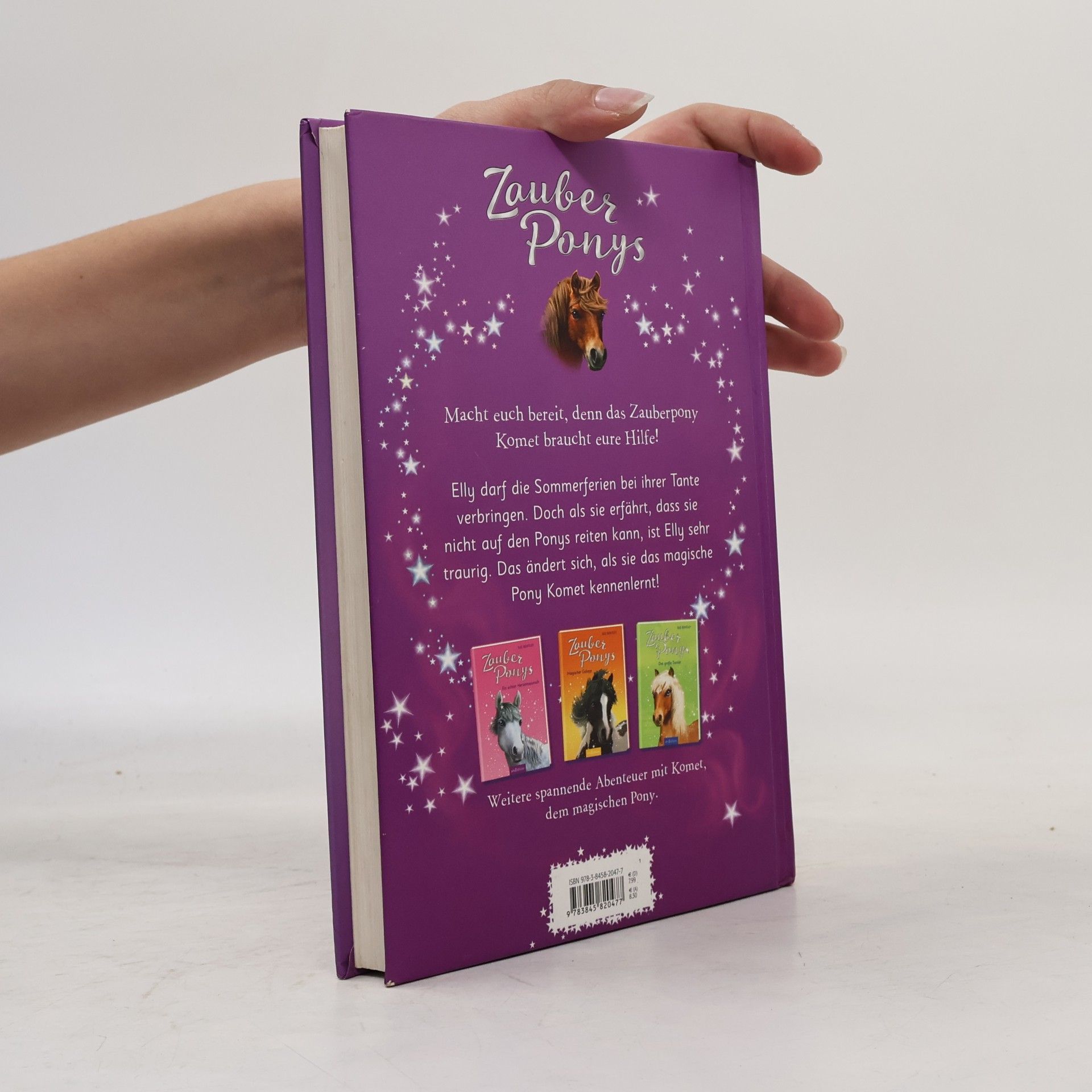 Sue Bentley Zauberponys - ein magischer Freund