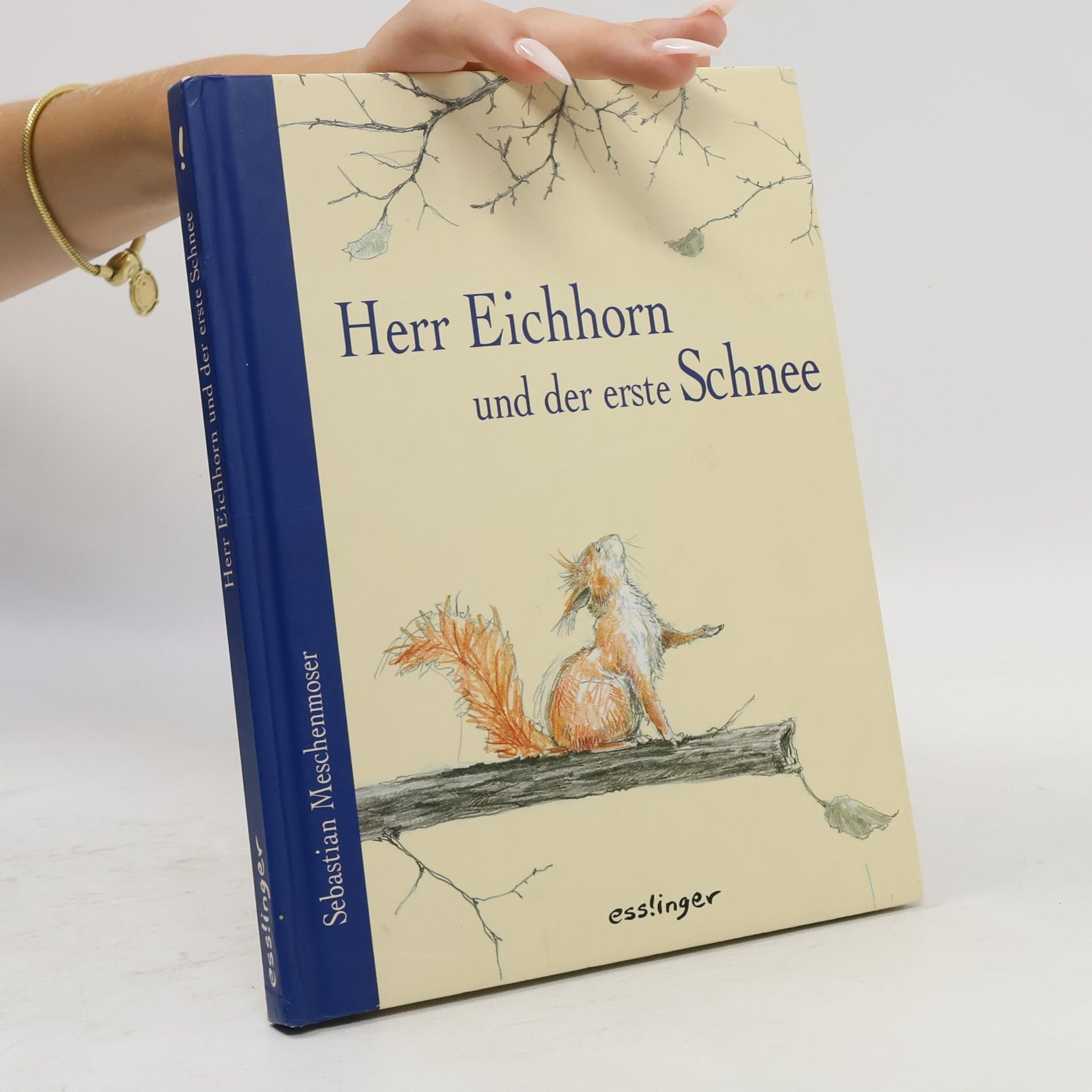 Sebastian Meschenmoser Herr Eichhorn und der erste Schnee