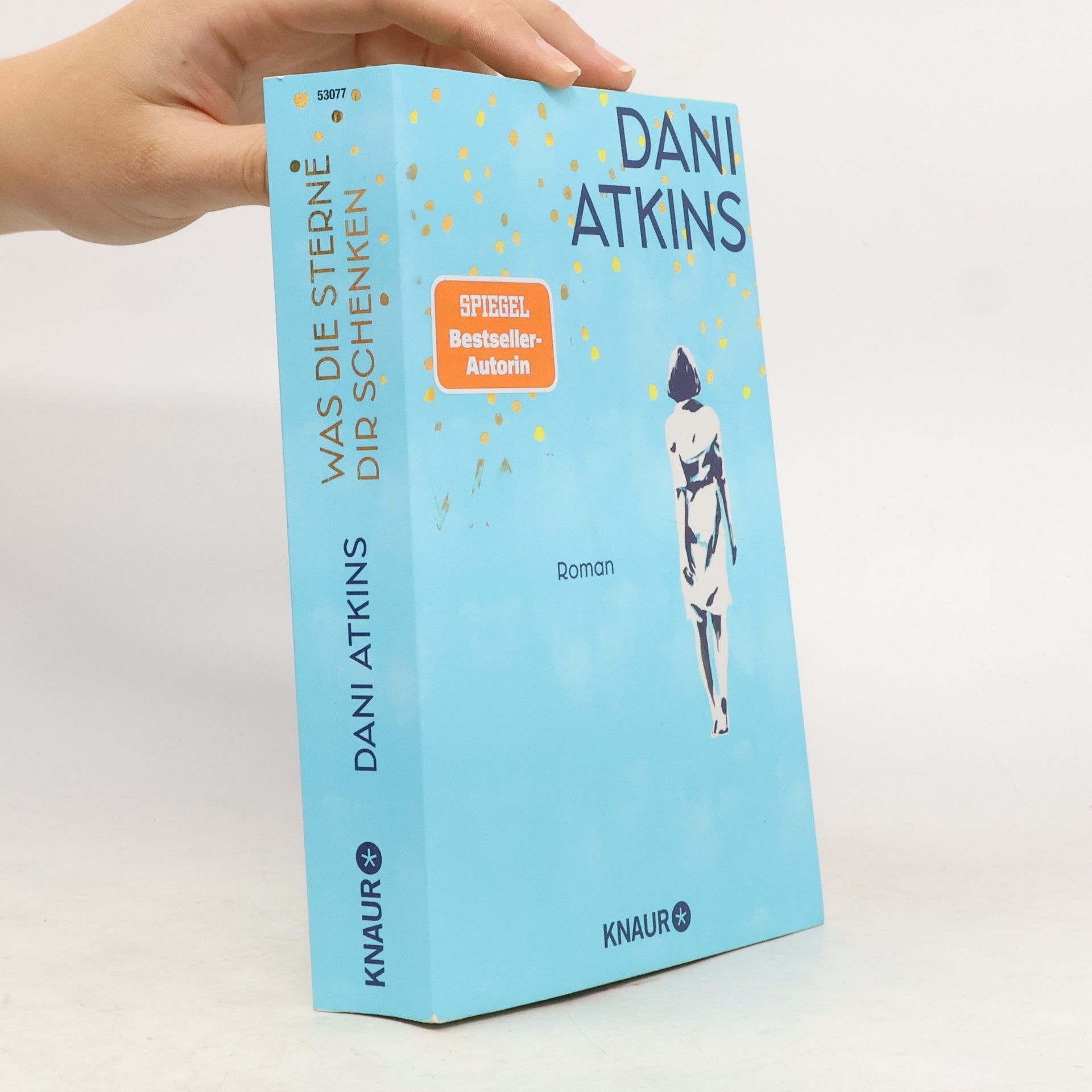 Dani Atkins Was die Sterne dir schenken