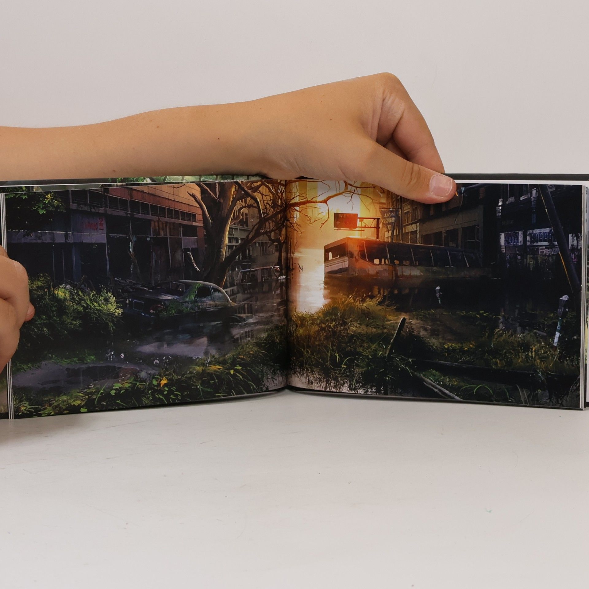 Richard Chizmar The Art of The Last of Us