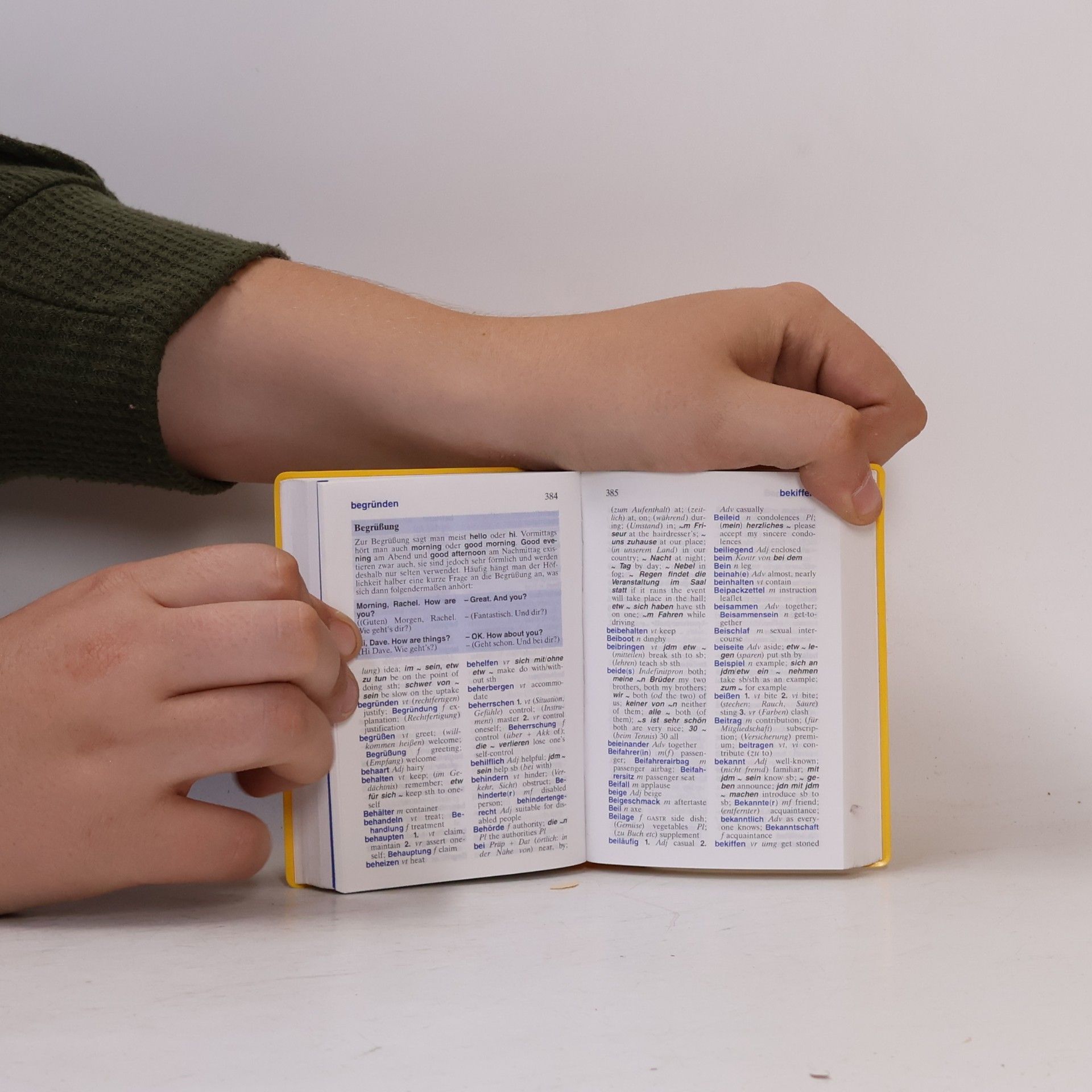 Heike Pleisteiner Langenscheidt, Universal-Wörterbuch Englisch
