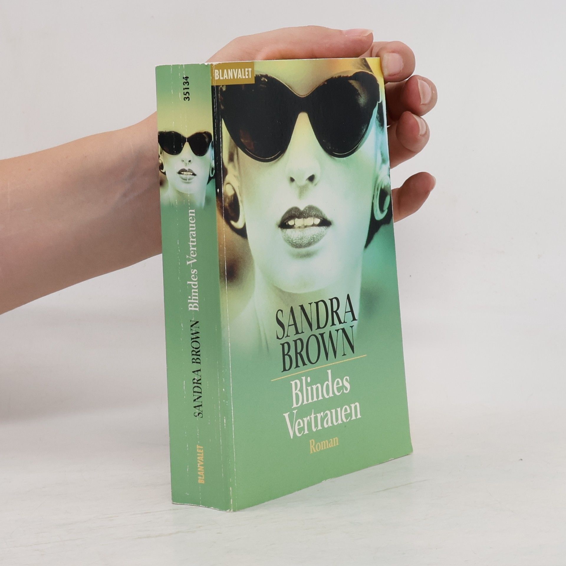 Sandra Brown Blindes Vertrauen