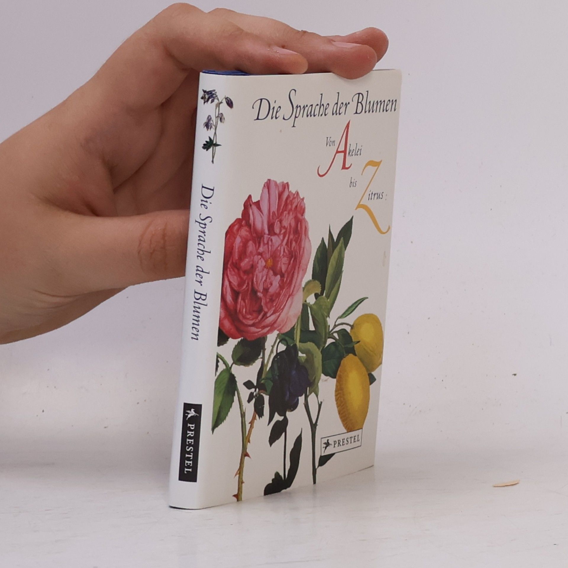 Marina Heilmeyer Die Sprache der Blumen