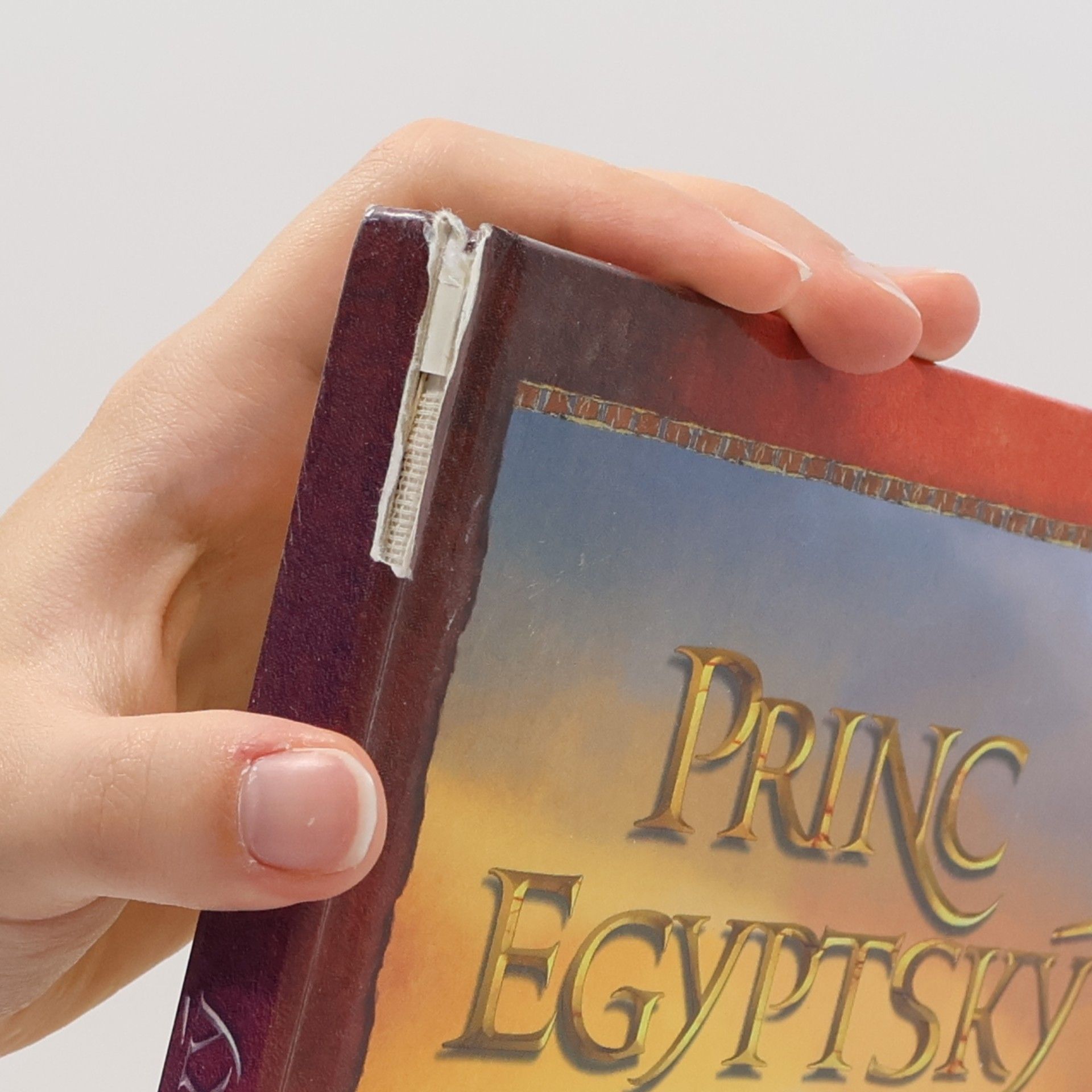 Jane Yolen Princ egyptský