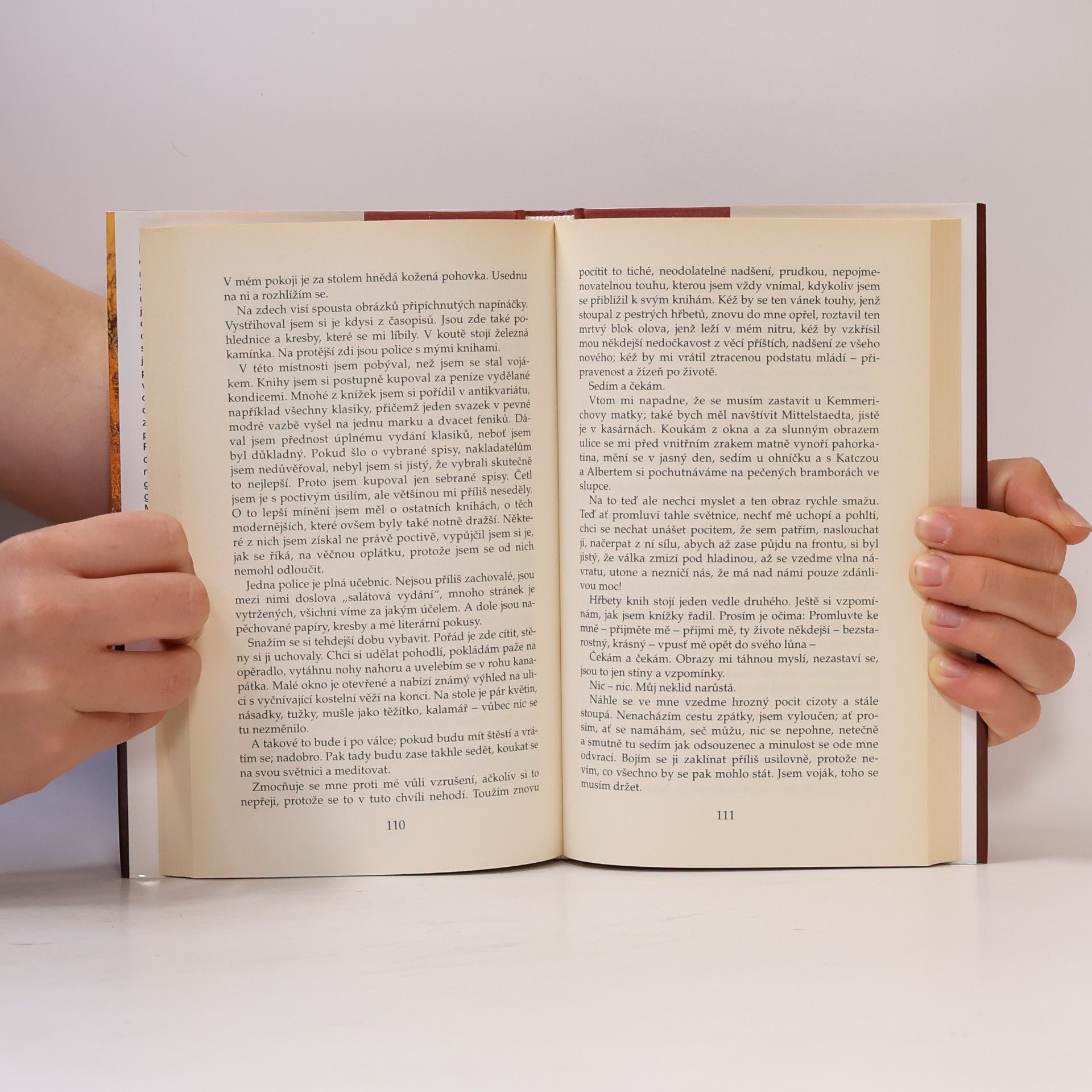 Erich Maria Remarque Na západní frontě klid