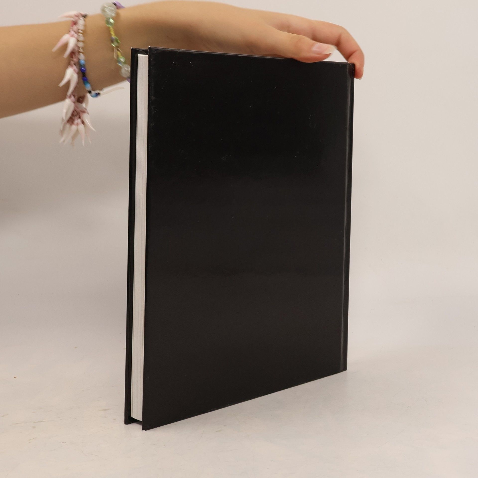 Autorenkollektiv Ins Licht. Schweizer Kunst 1960–2000. Esquisse d'une collection privée d'art suisse, 1960–2000