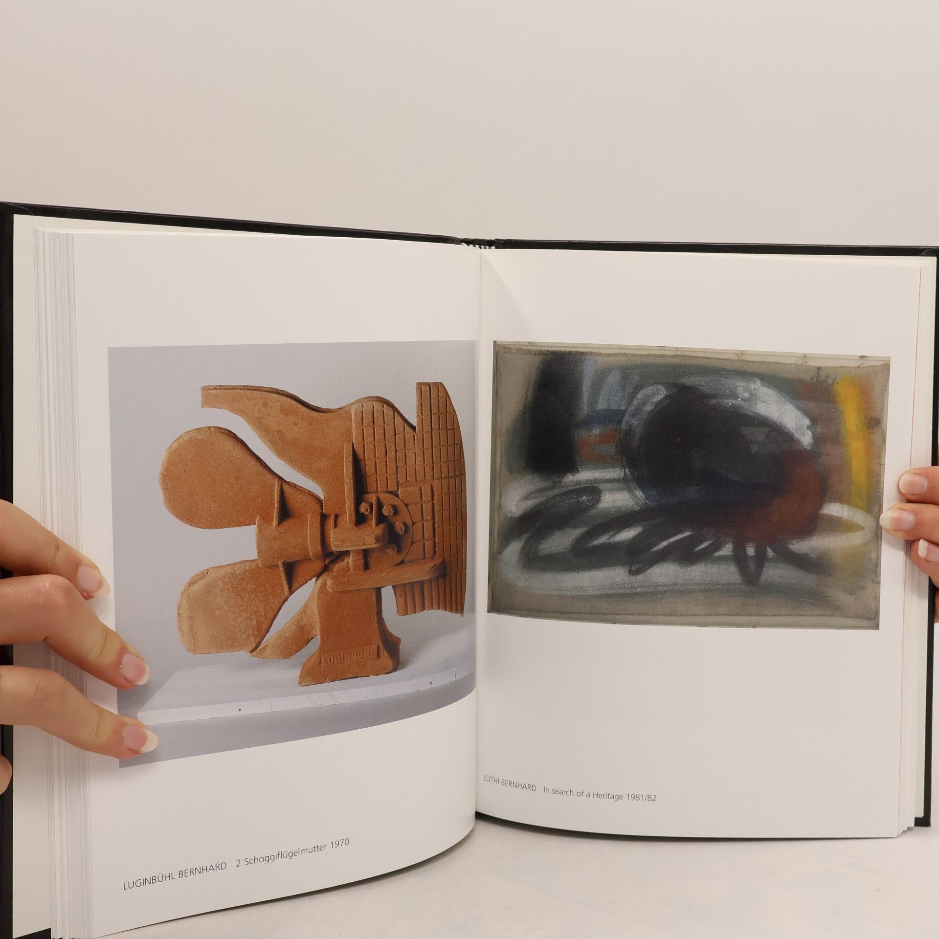 Autorenkollektiv Ins Licht. Schweizer Kunst 1960–2000. Esquisse d'une collection privée d'art suisse, 1960–2000
