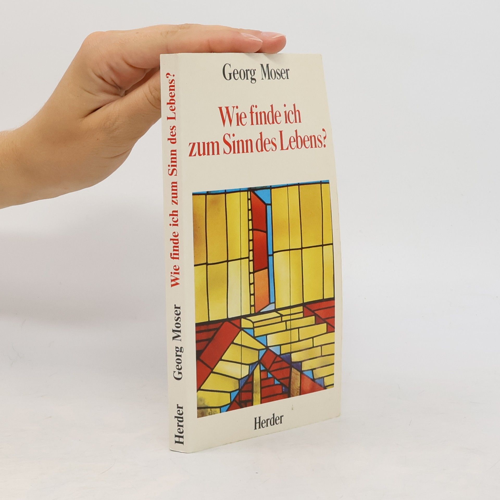 Georg Moser Wie finde ich zum Sinn des Lebens?